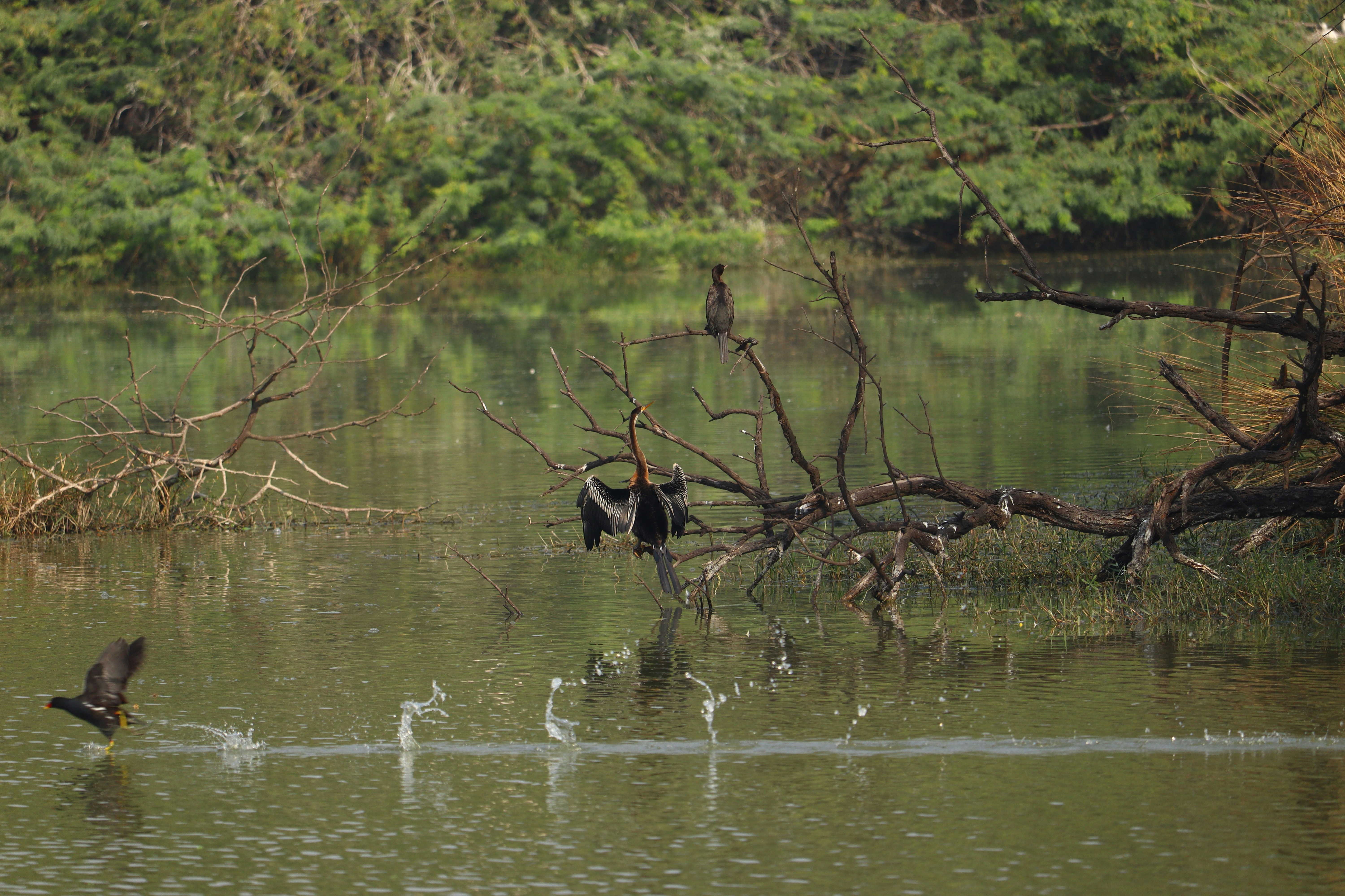 Photo by royalsnapstudio12