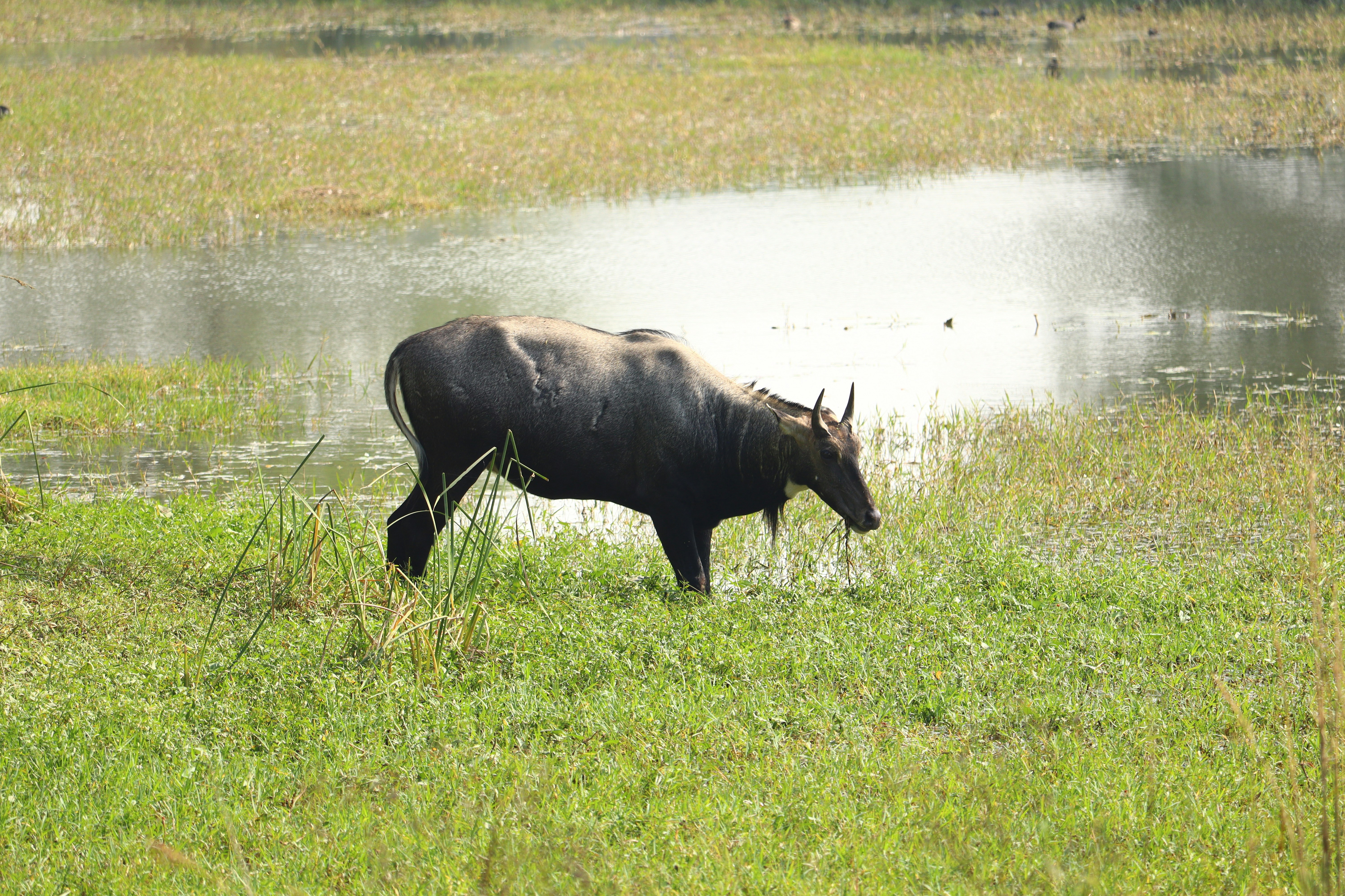 Photo by royalsnapstudio12