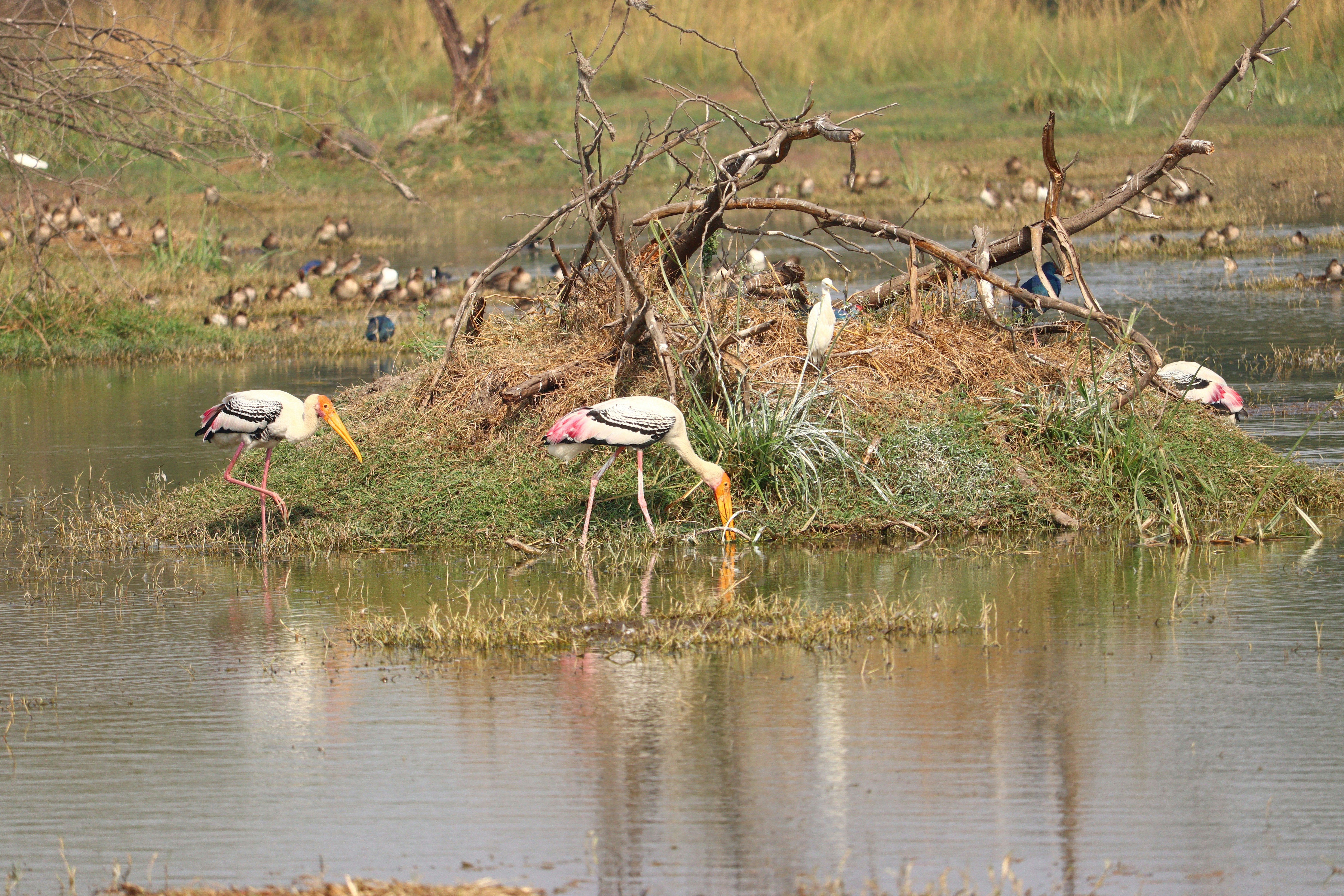 Photo by royalsnapstudio12