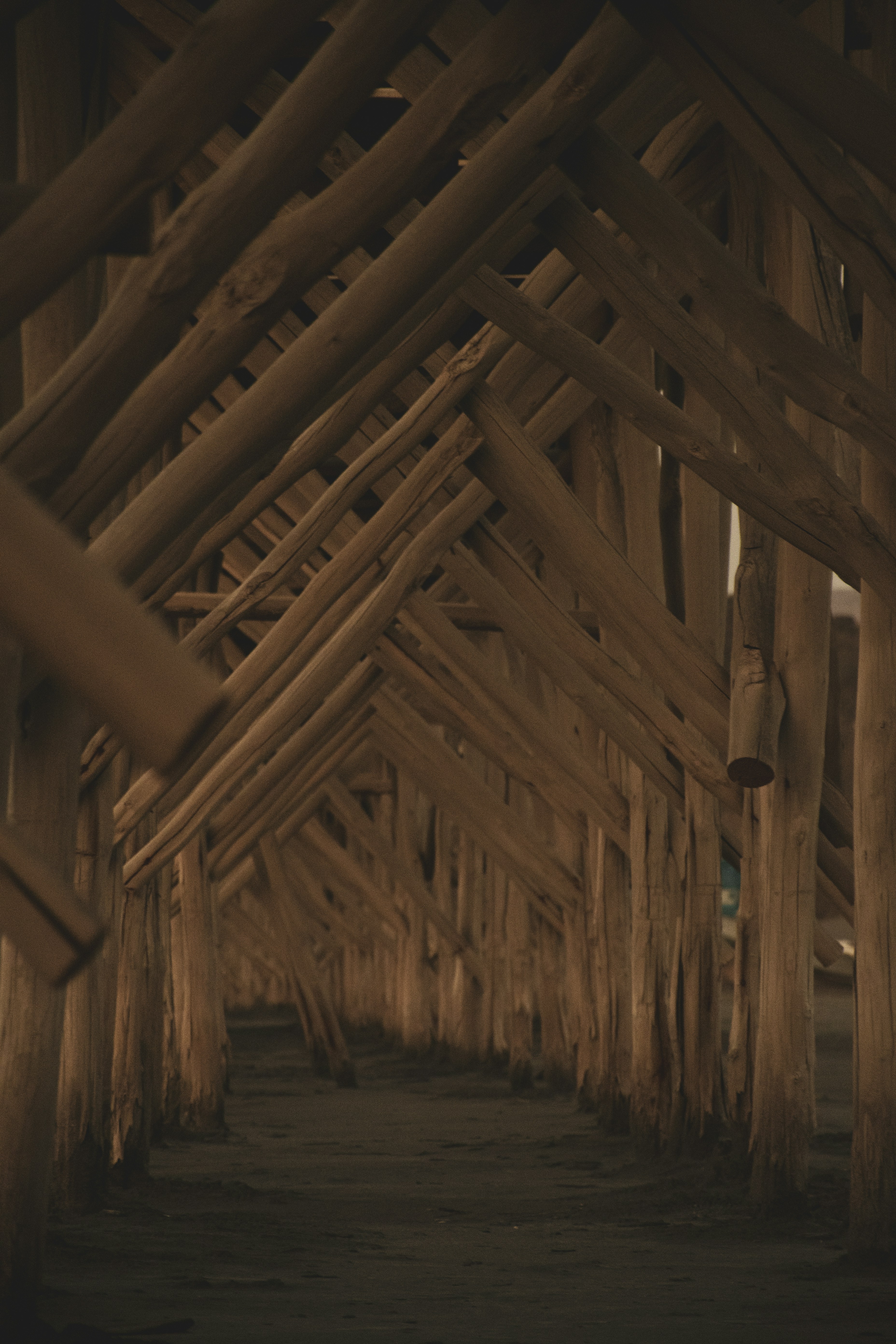 Eine Reihe von Holzpfählen in einem Gebäude