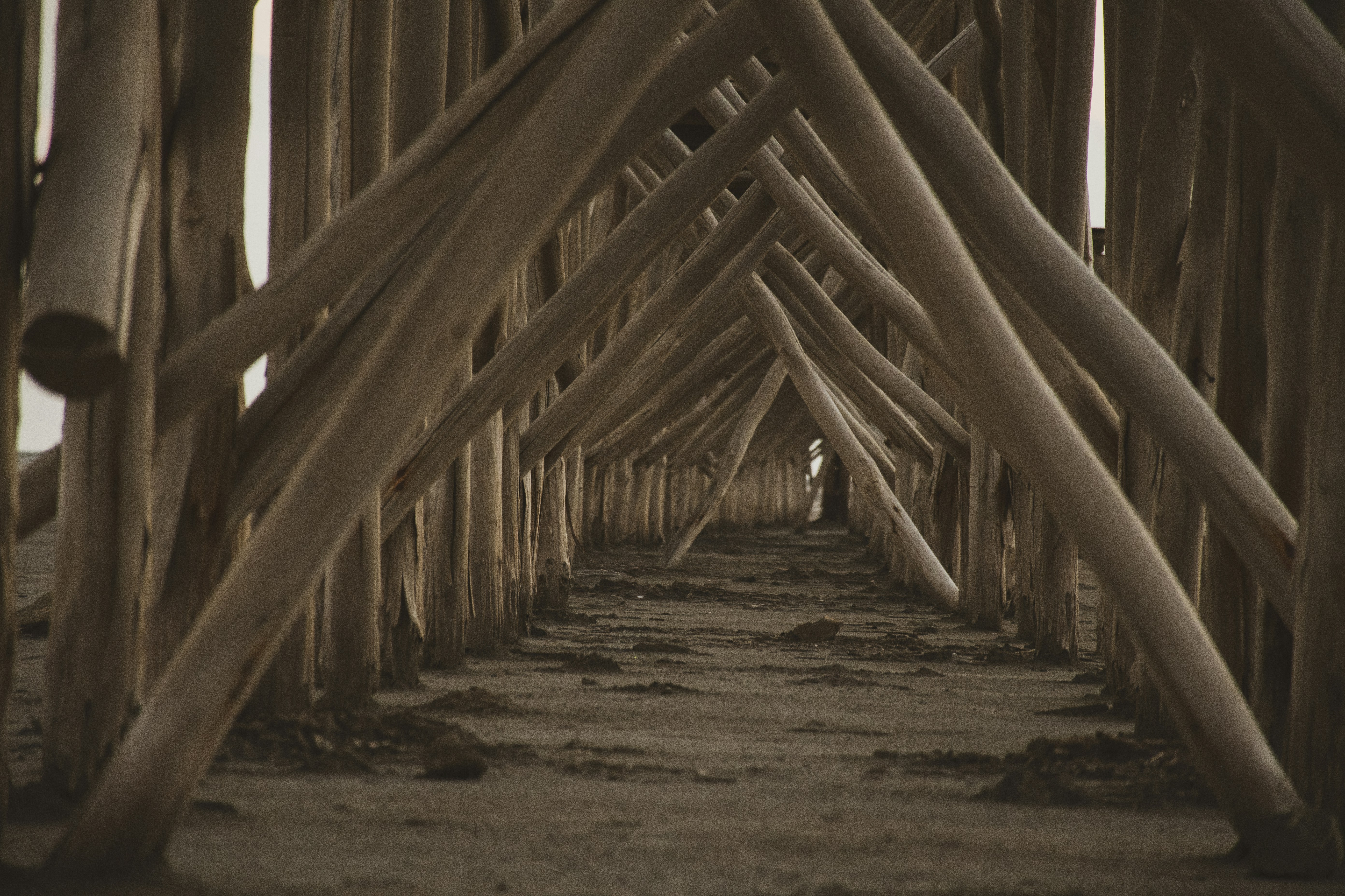 Eine Reihe von Holzstangen im Sand