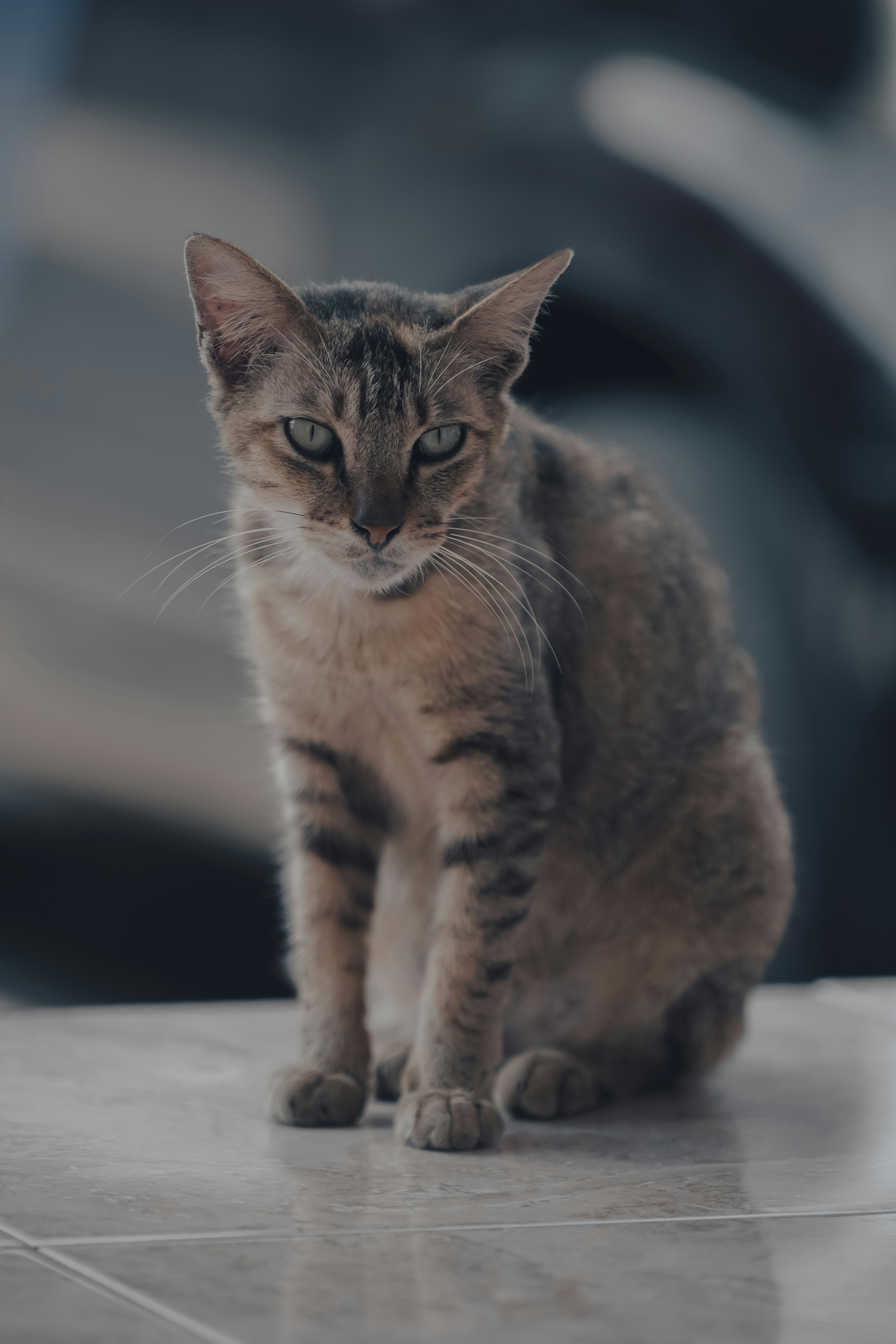 Photo by hydngallery