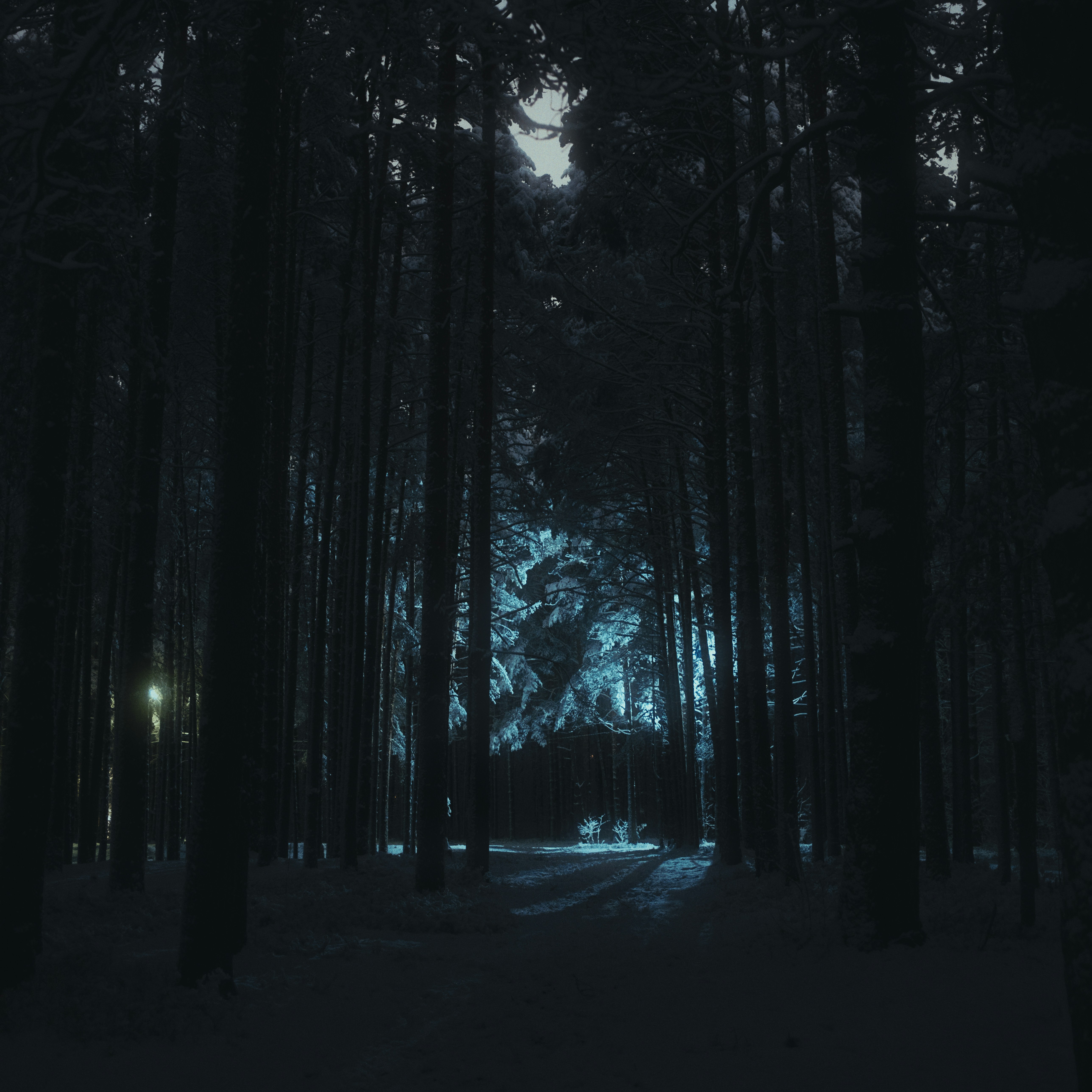 Photo by evil_bumblebee