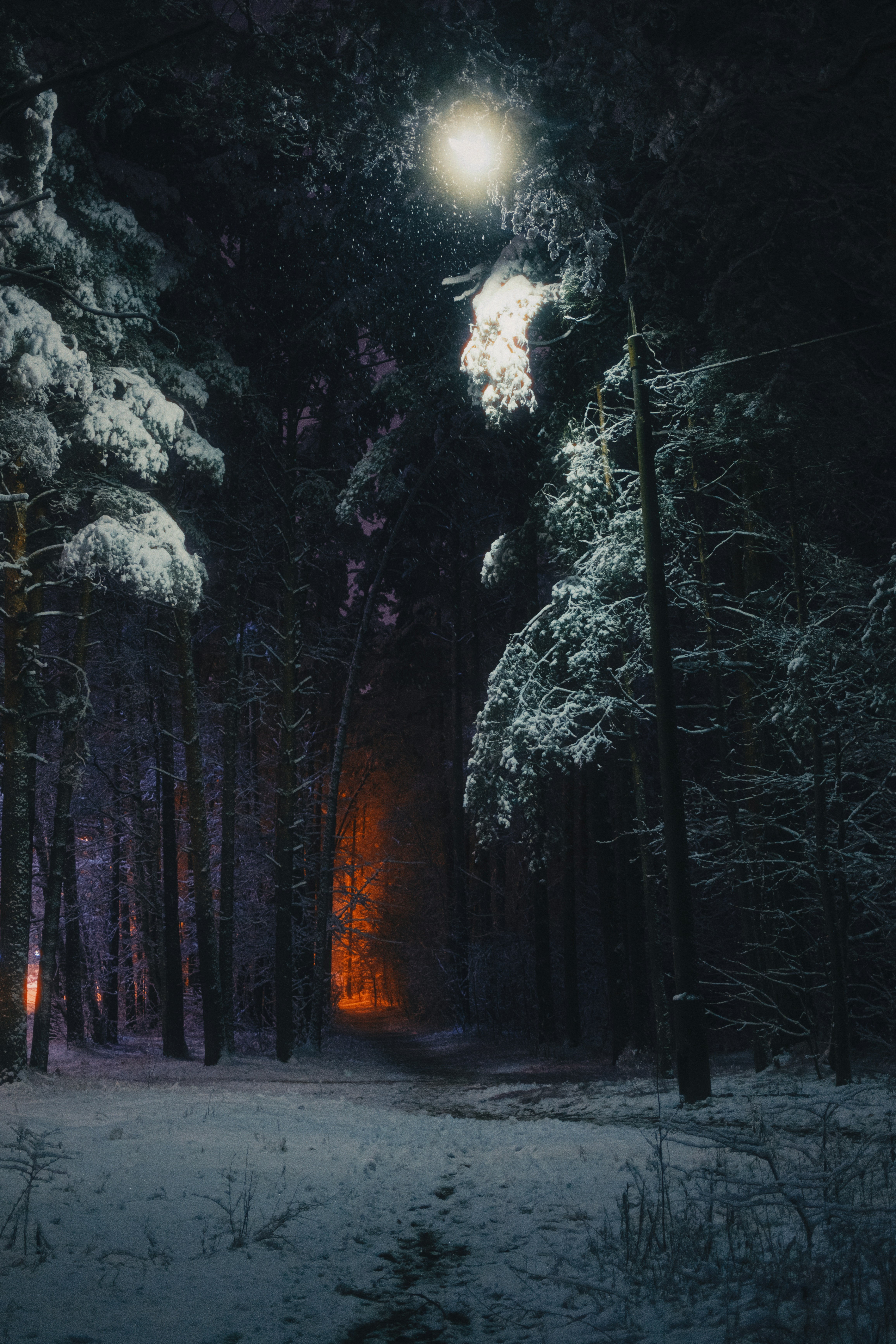 大畠雅人 Into the dark forest （1/8） Are Beijing and Washington testing the dark forest