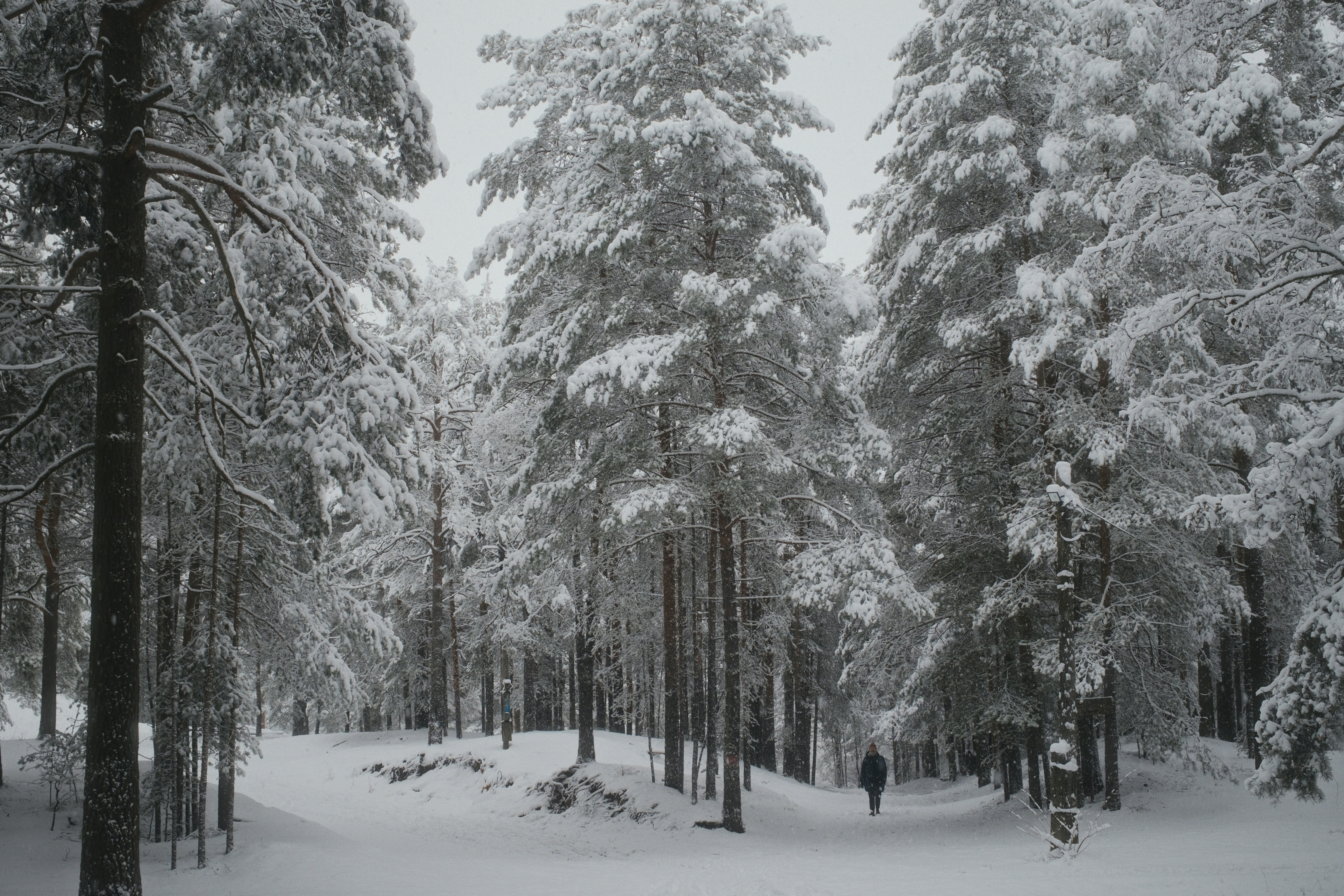 Photo by evil_bumblebee