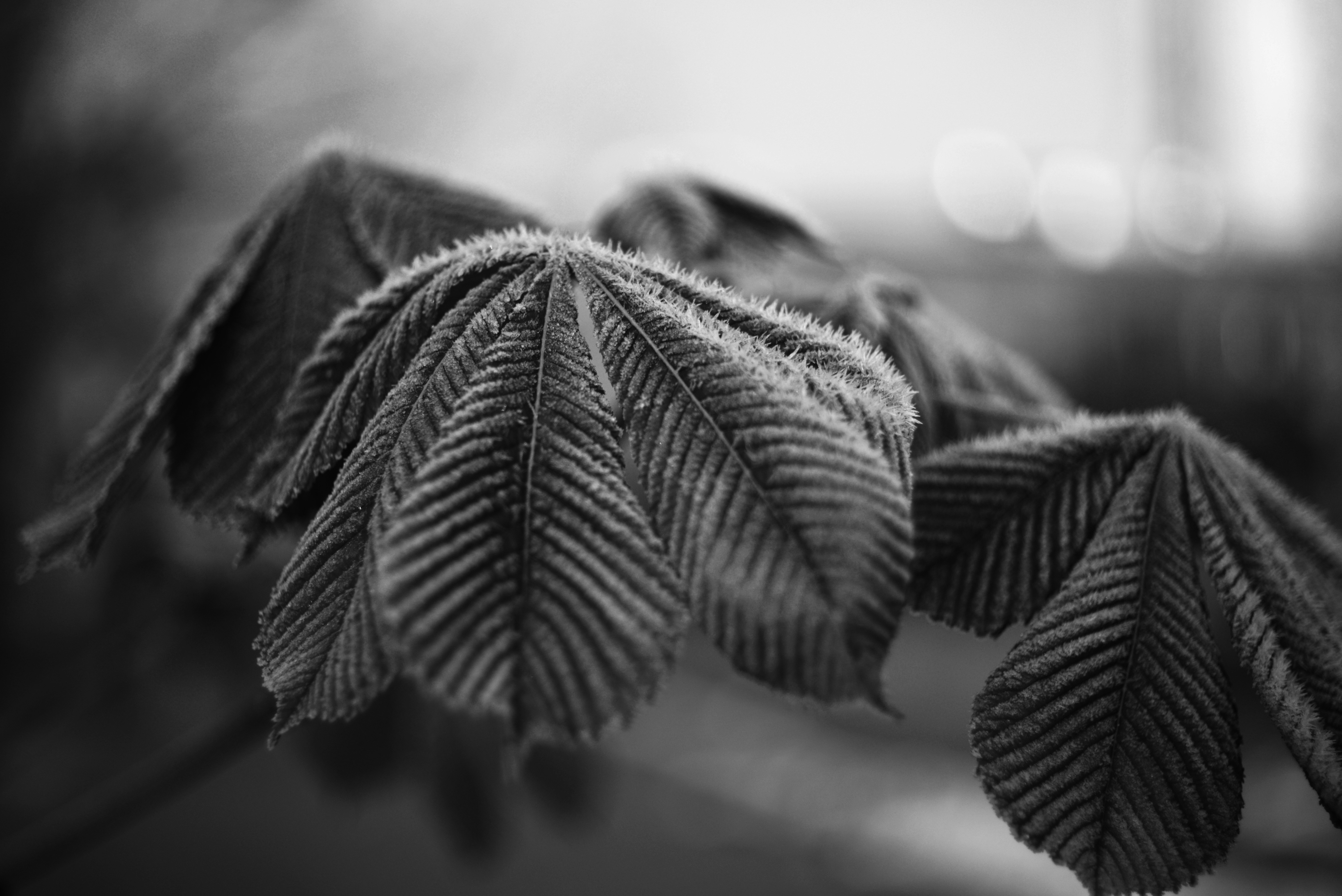 Photo by cherstve_pechivo