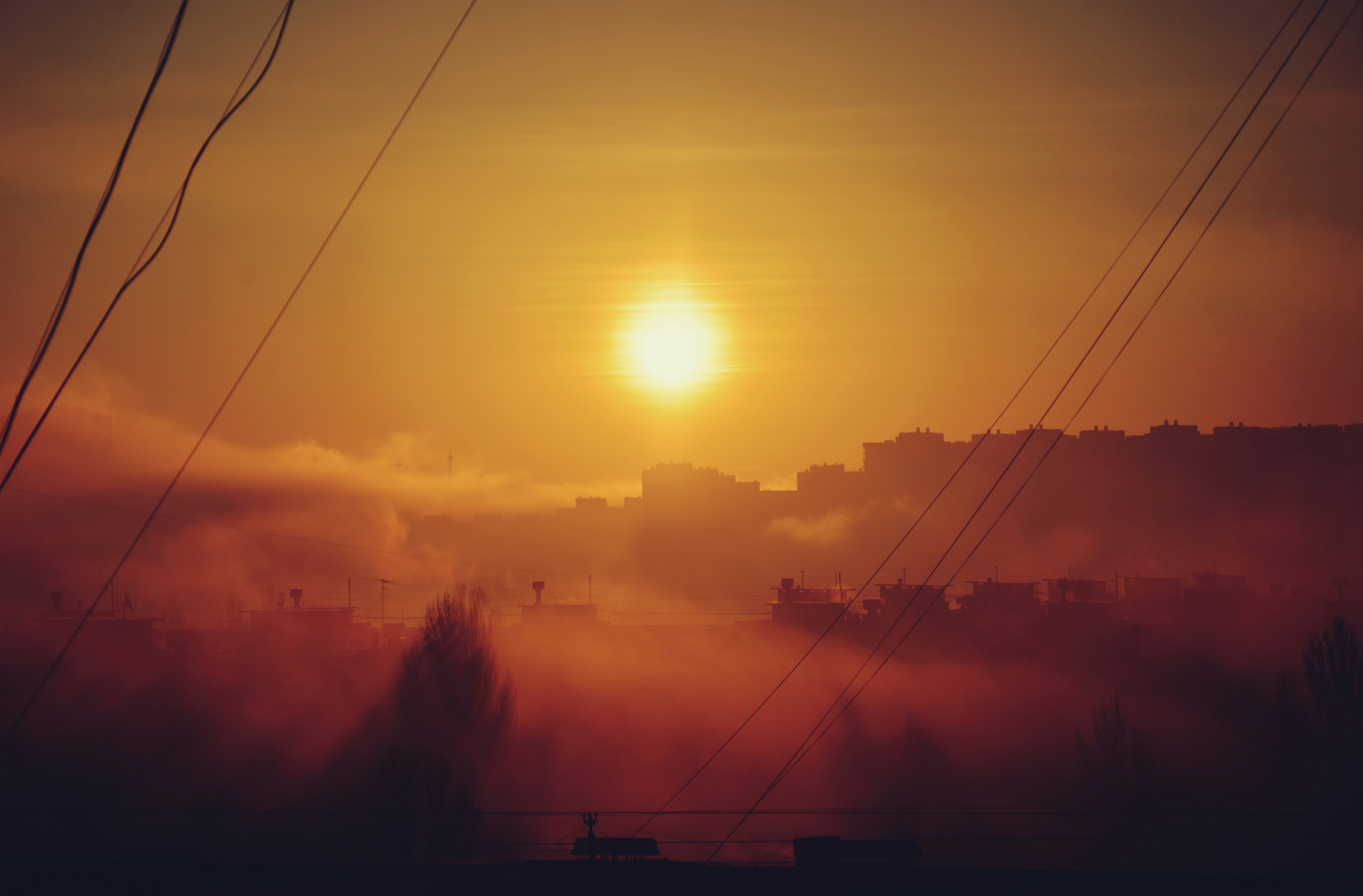 Photo by cherstve_pechivo