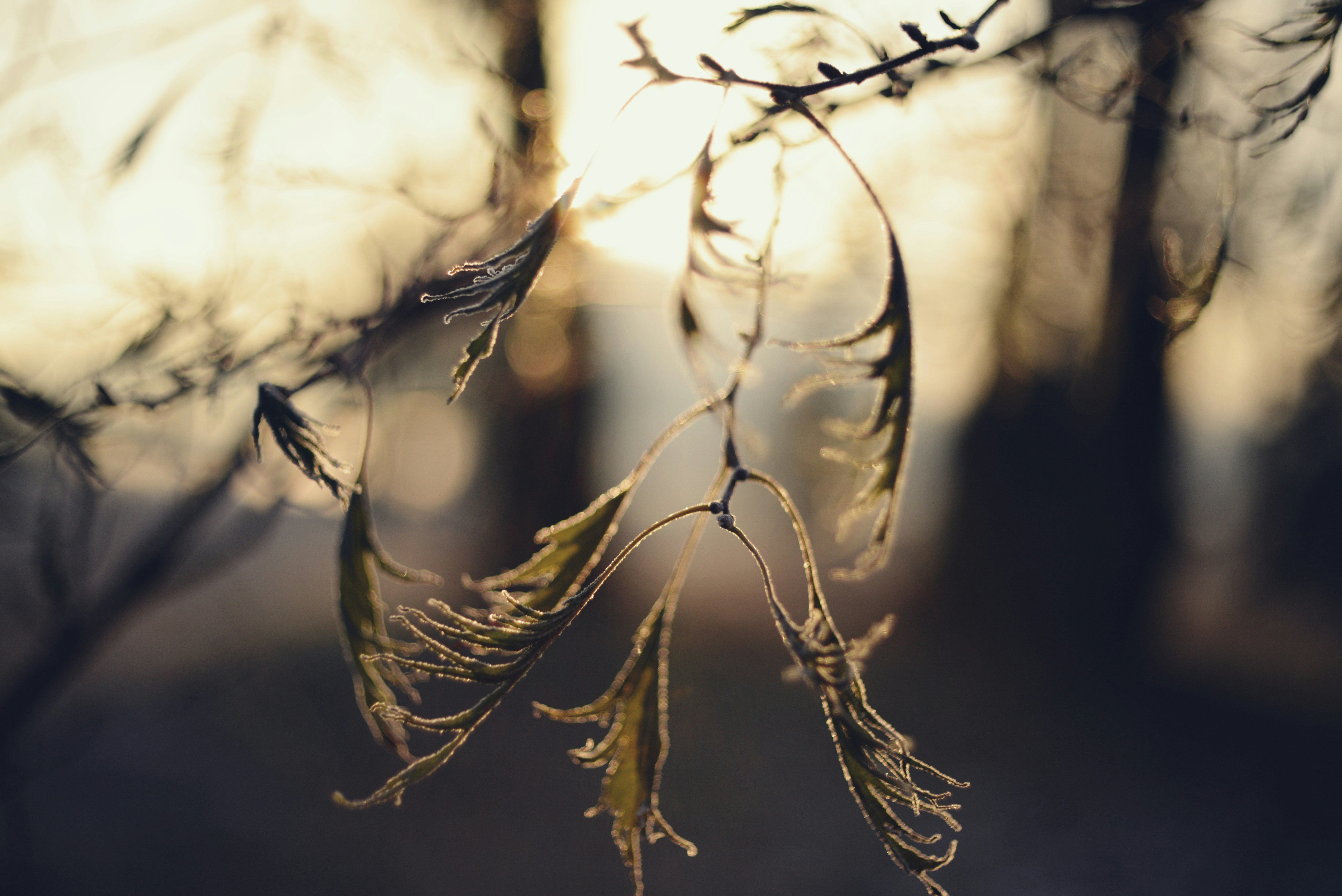 Photo by cherstve_pechivo