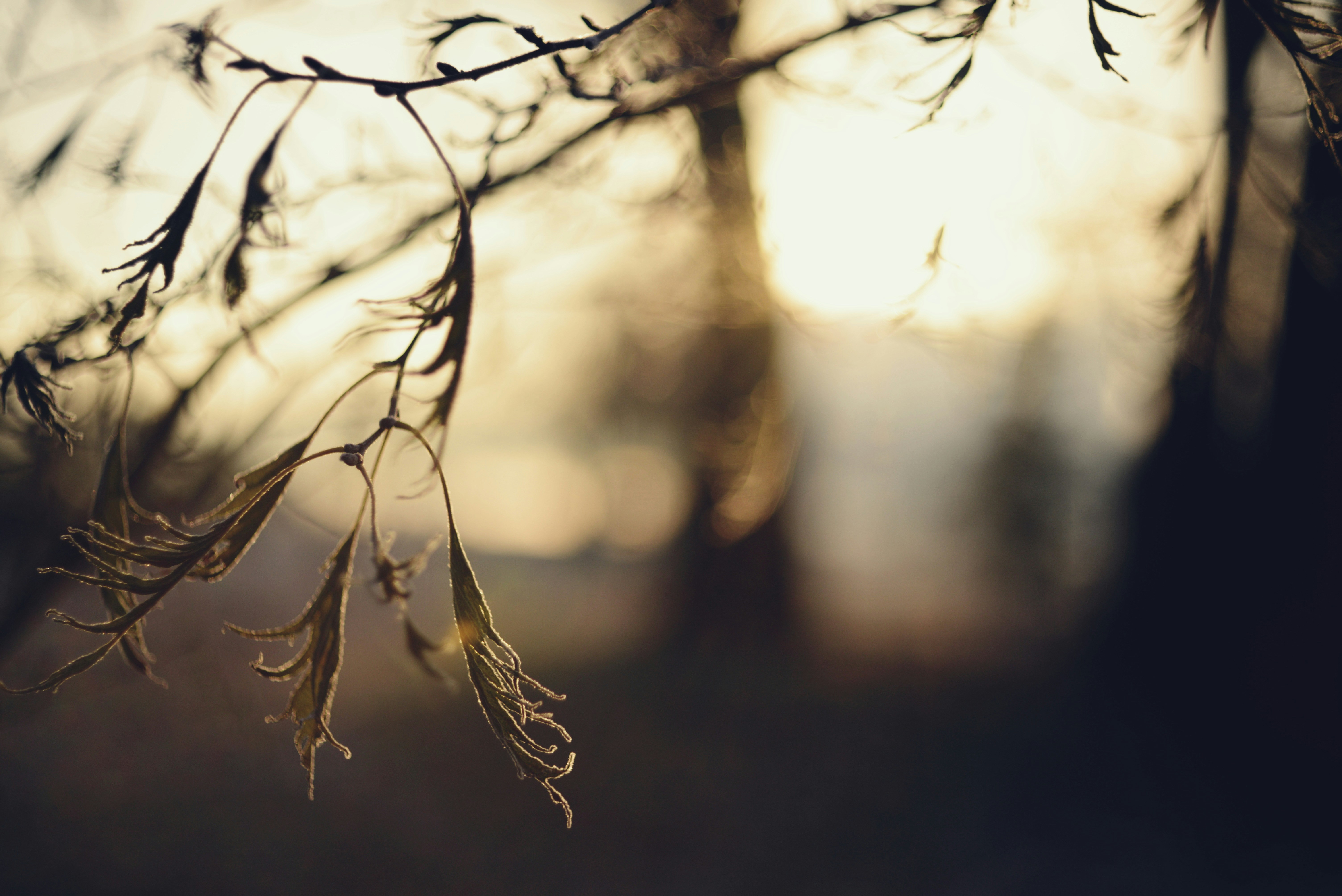 Photo by cherstve_pechivo