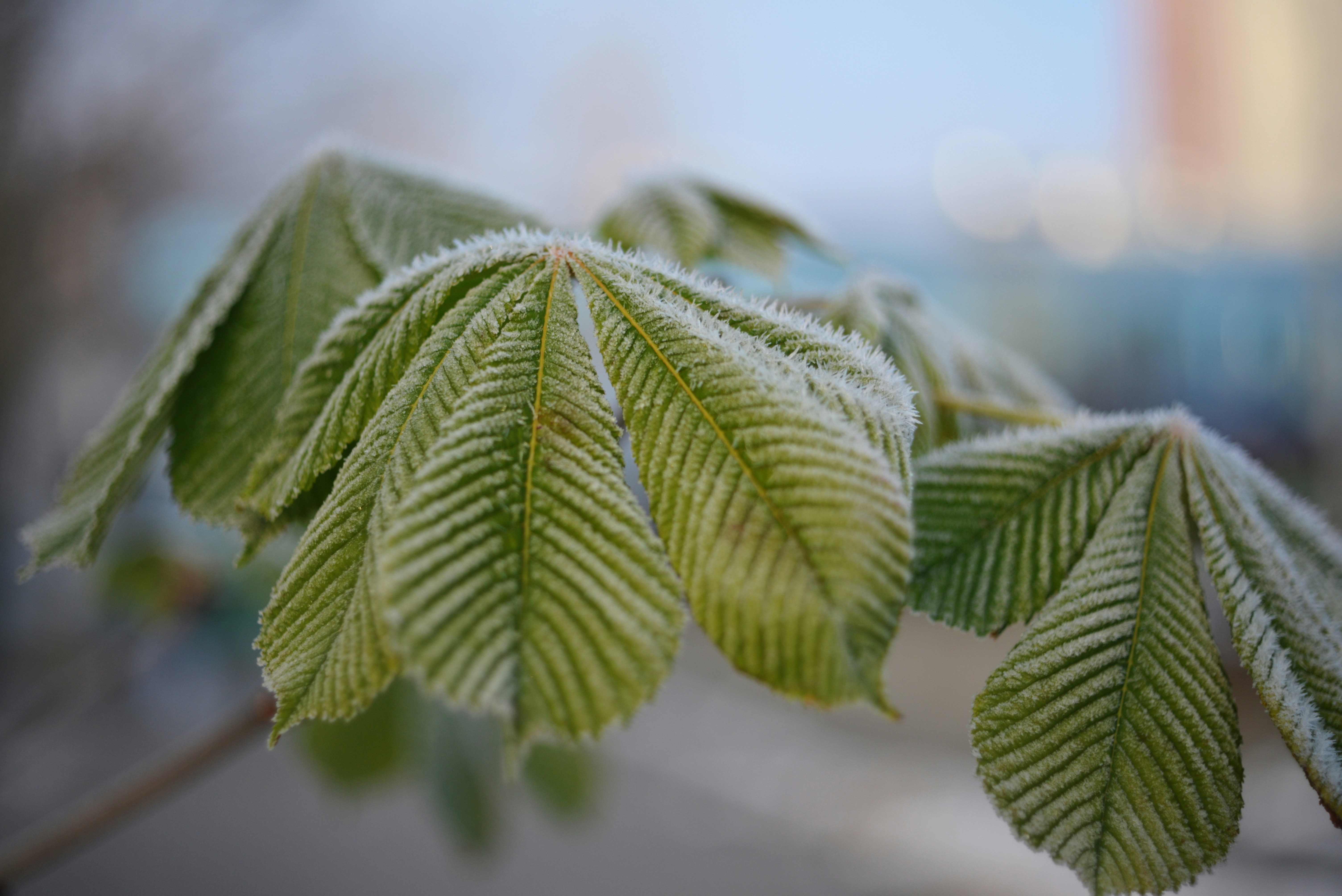 긁적긁적 밤은 이제 그만! 아토피 탈출을 위한 피부 살리기 SOS 생활 습관 ✨