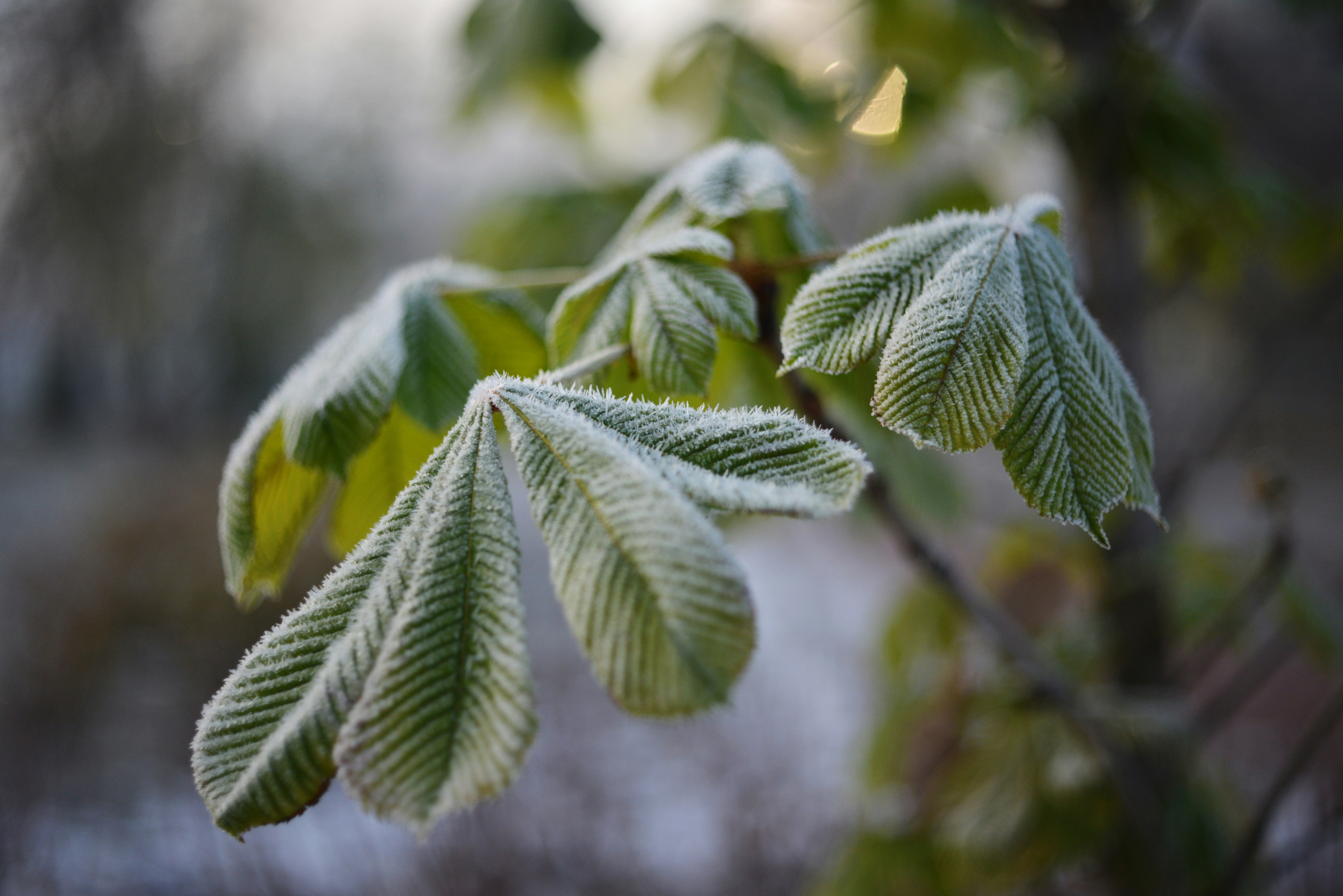 Photo by cherstve_pechivo