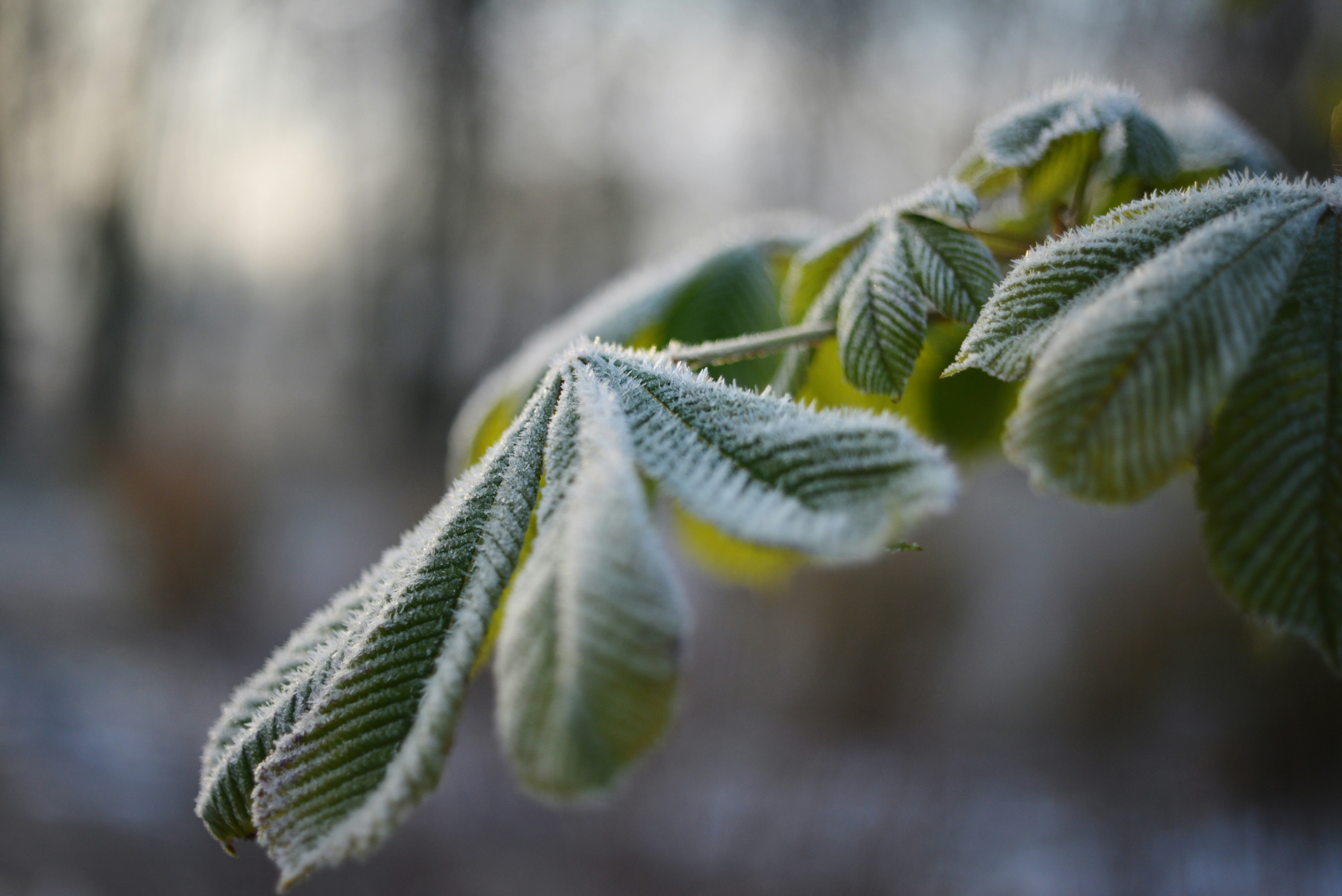 Photo by cherstve_pechivo