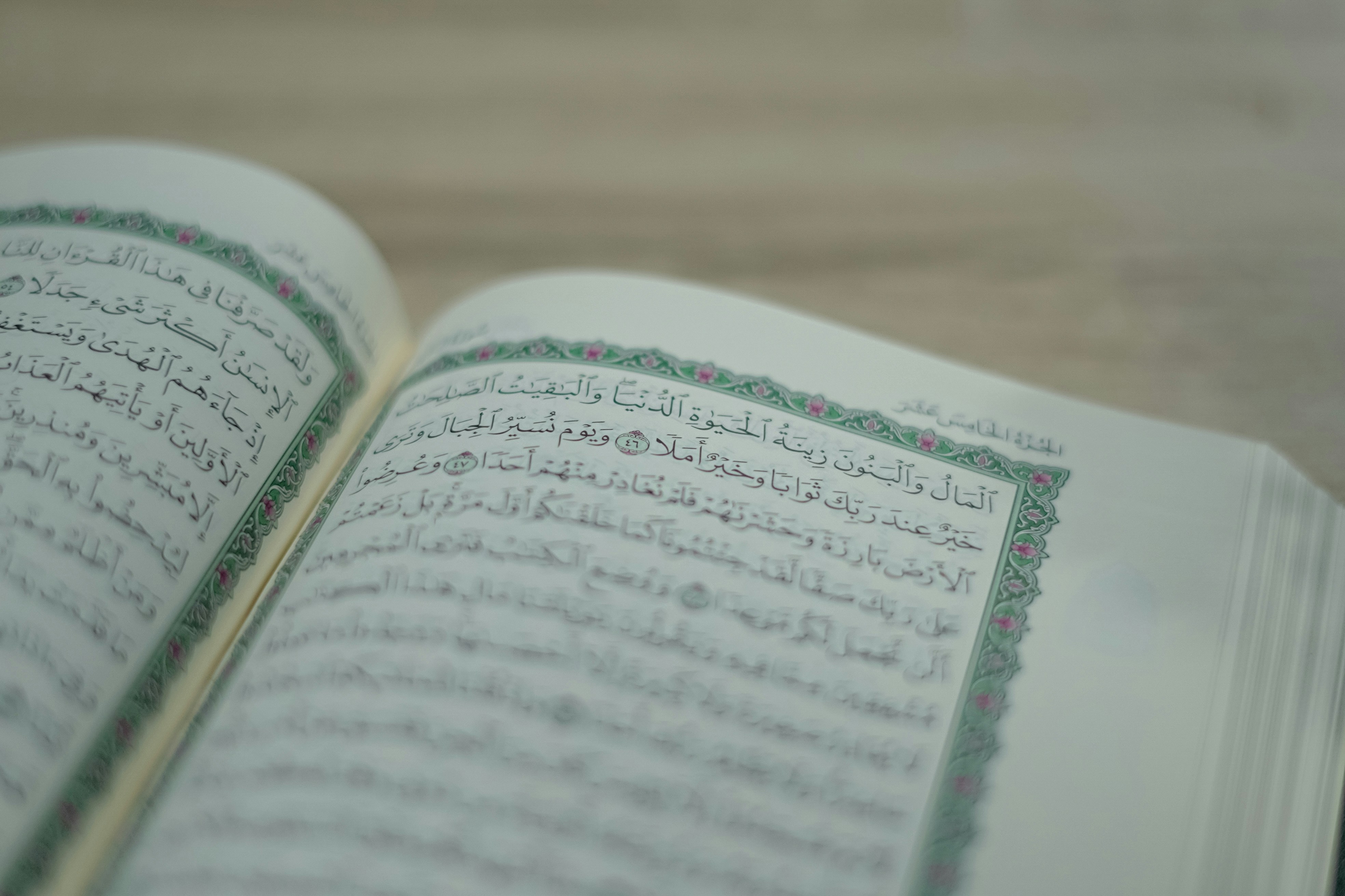 Photo by hydngallery