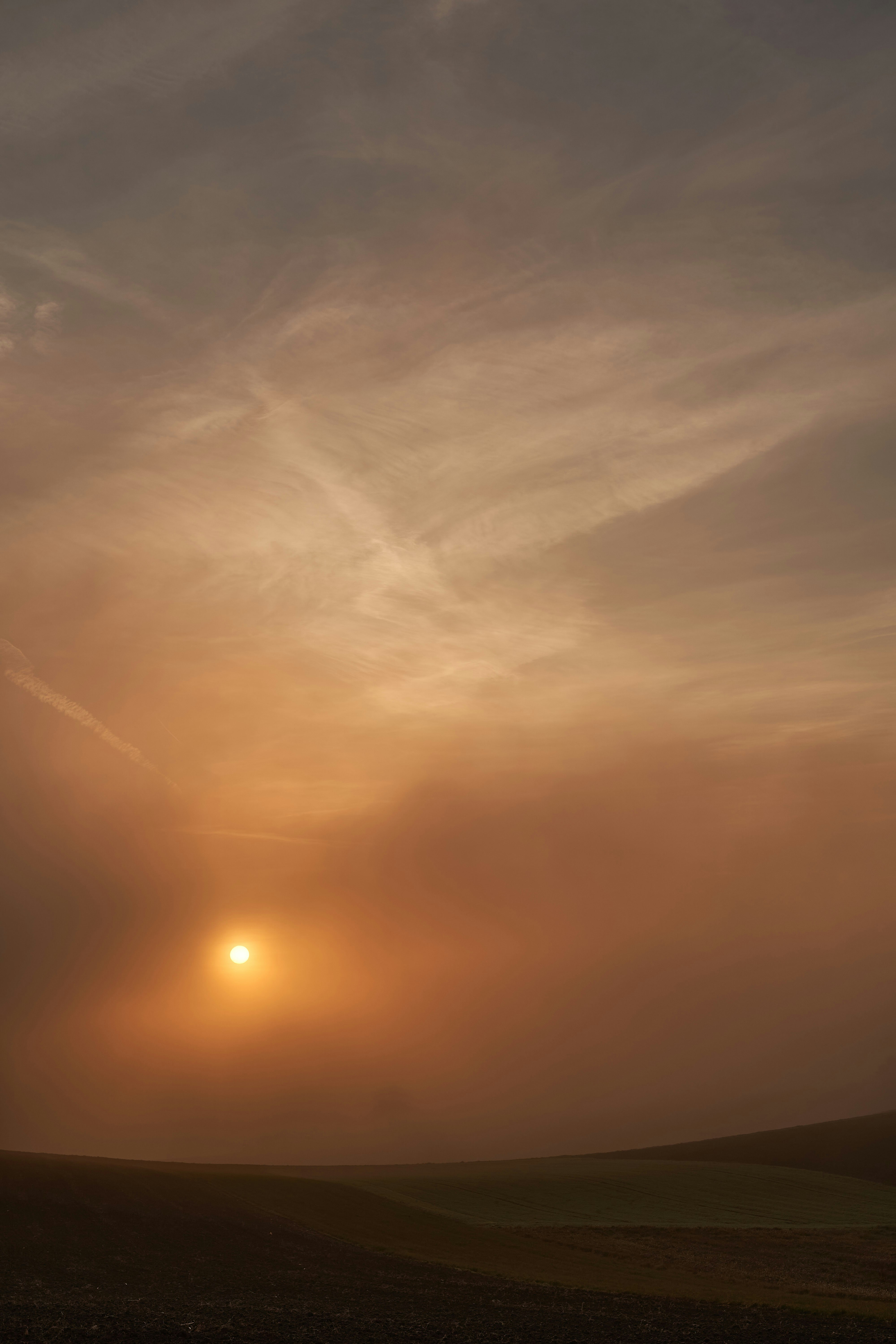 Photo by wolfgang_hasselmann