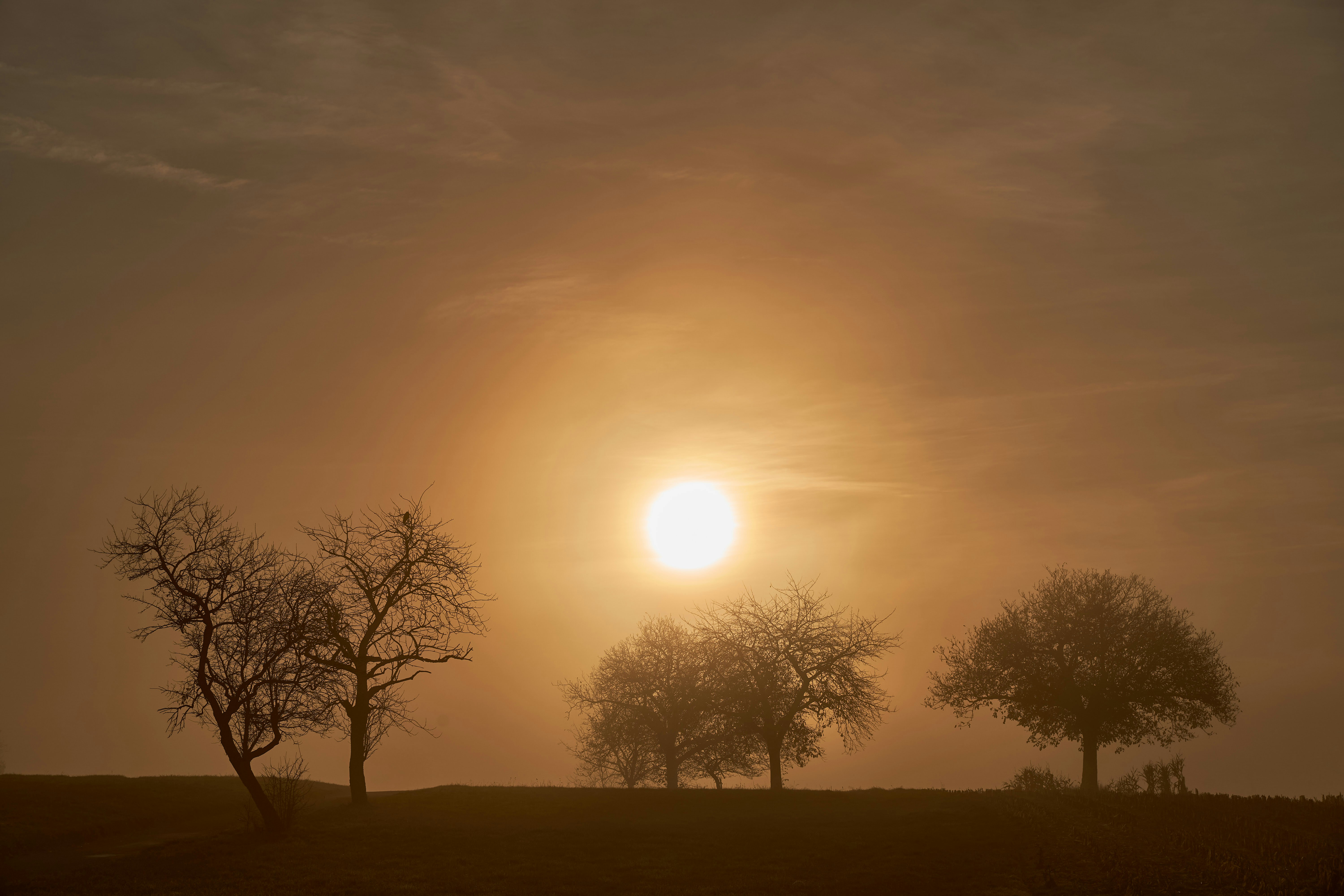 Photo by wolfgang_hasselmann