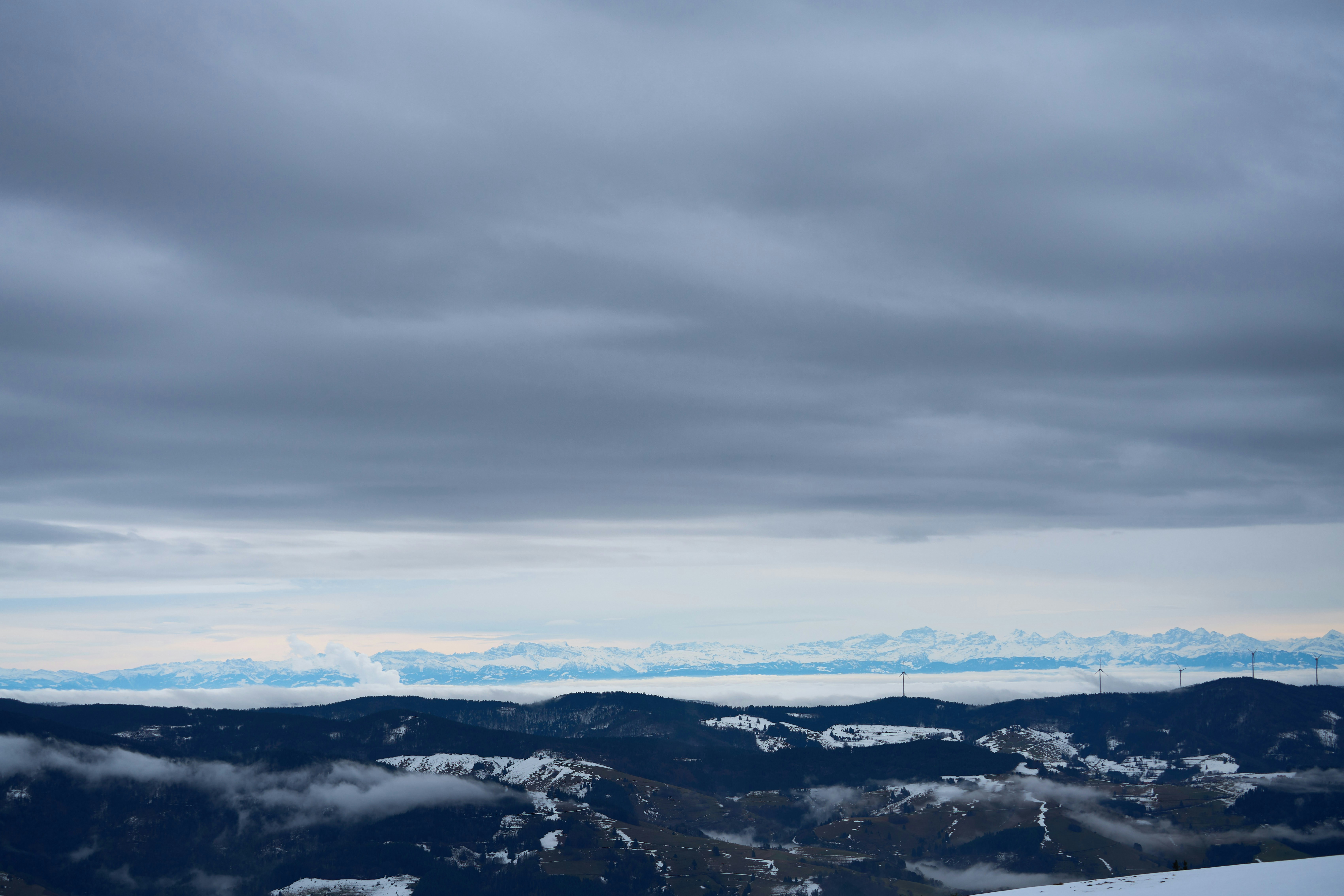 Photo by wolfgang_hasselmann