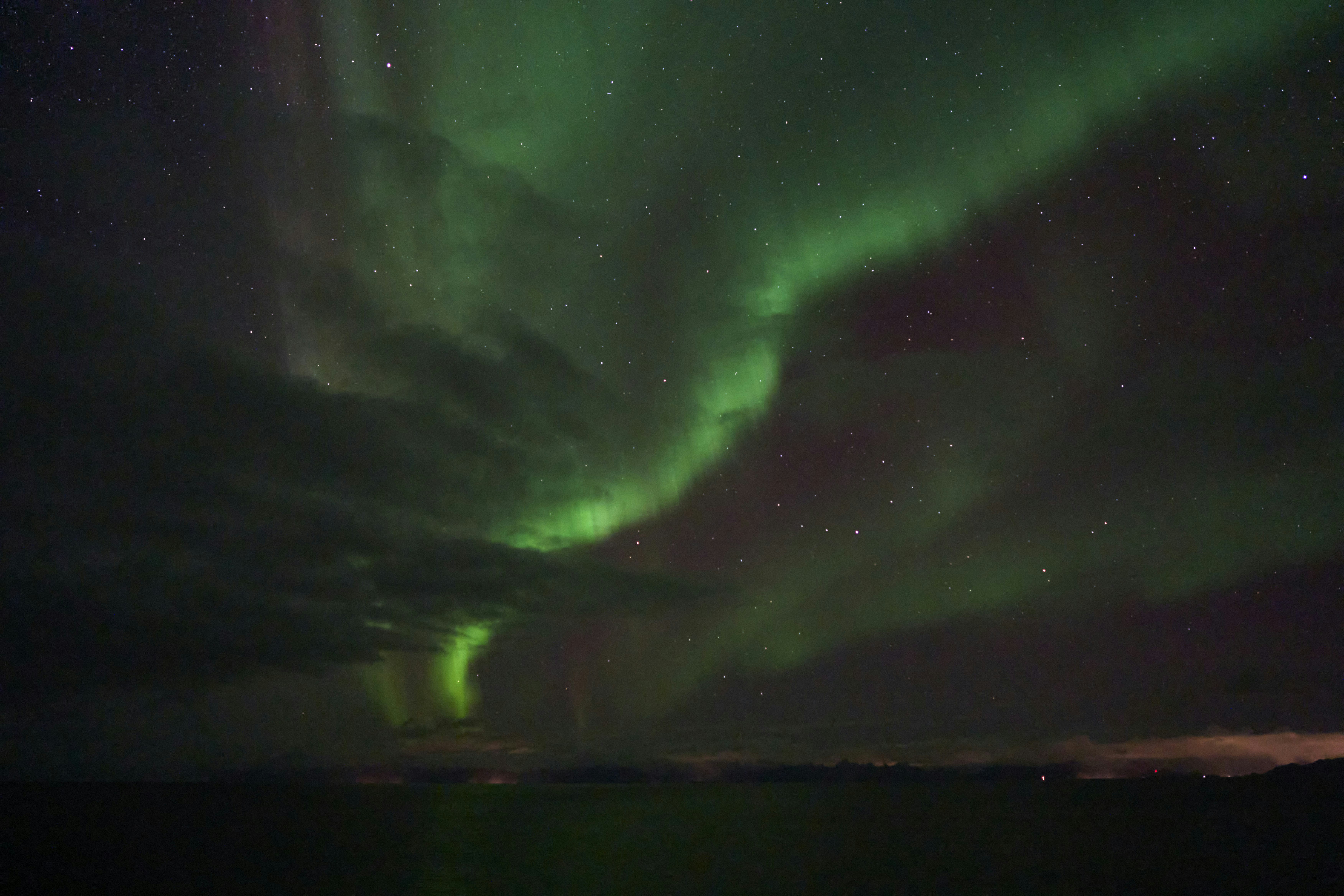 Photo by wolfgang_hasselmann