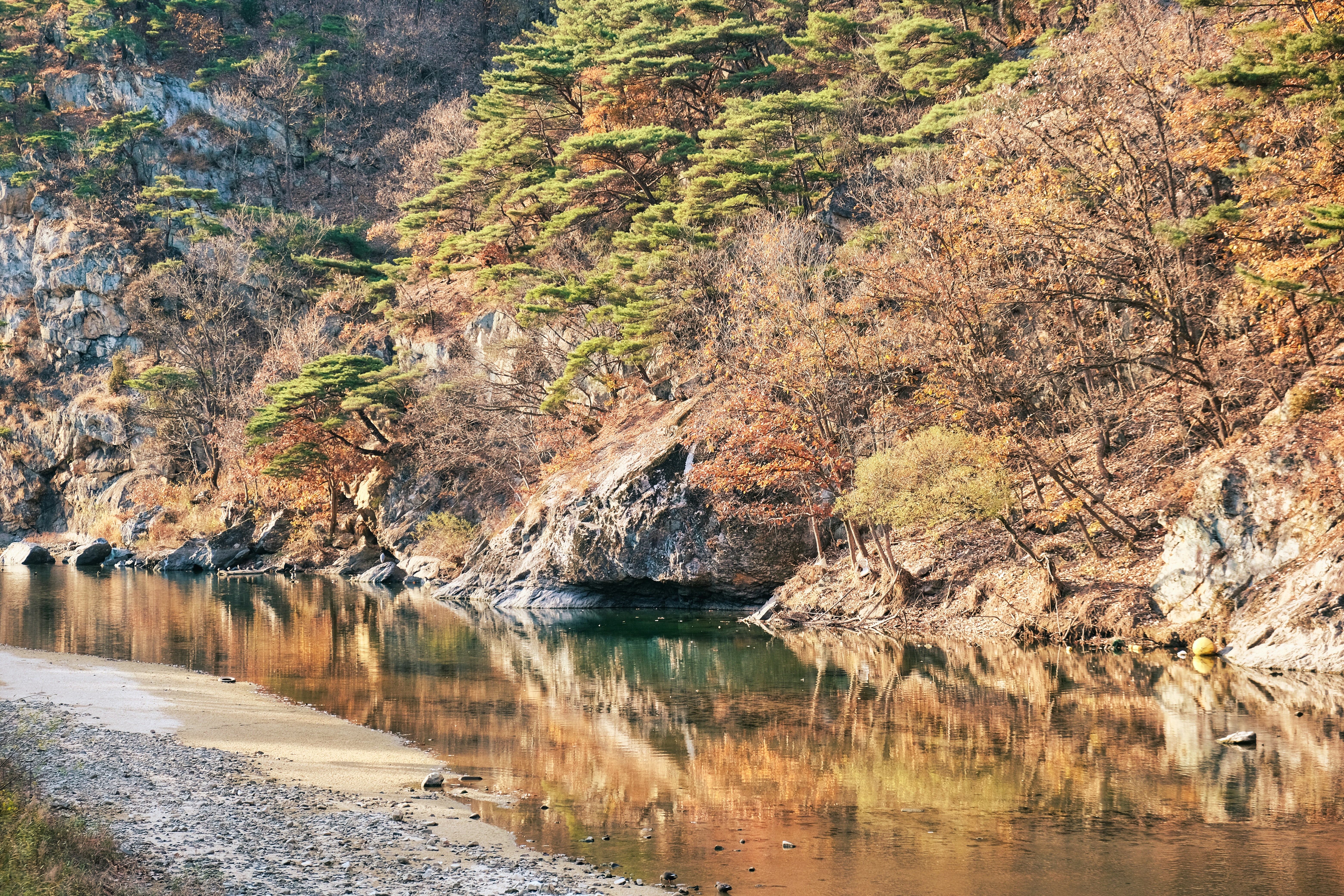 A body of water surrounded by mountains and trees