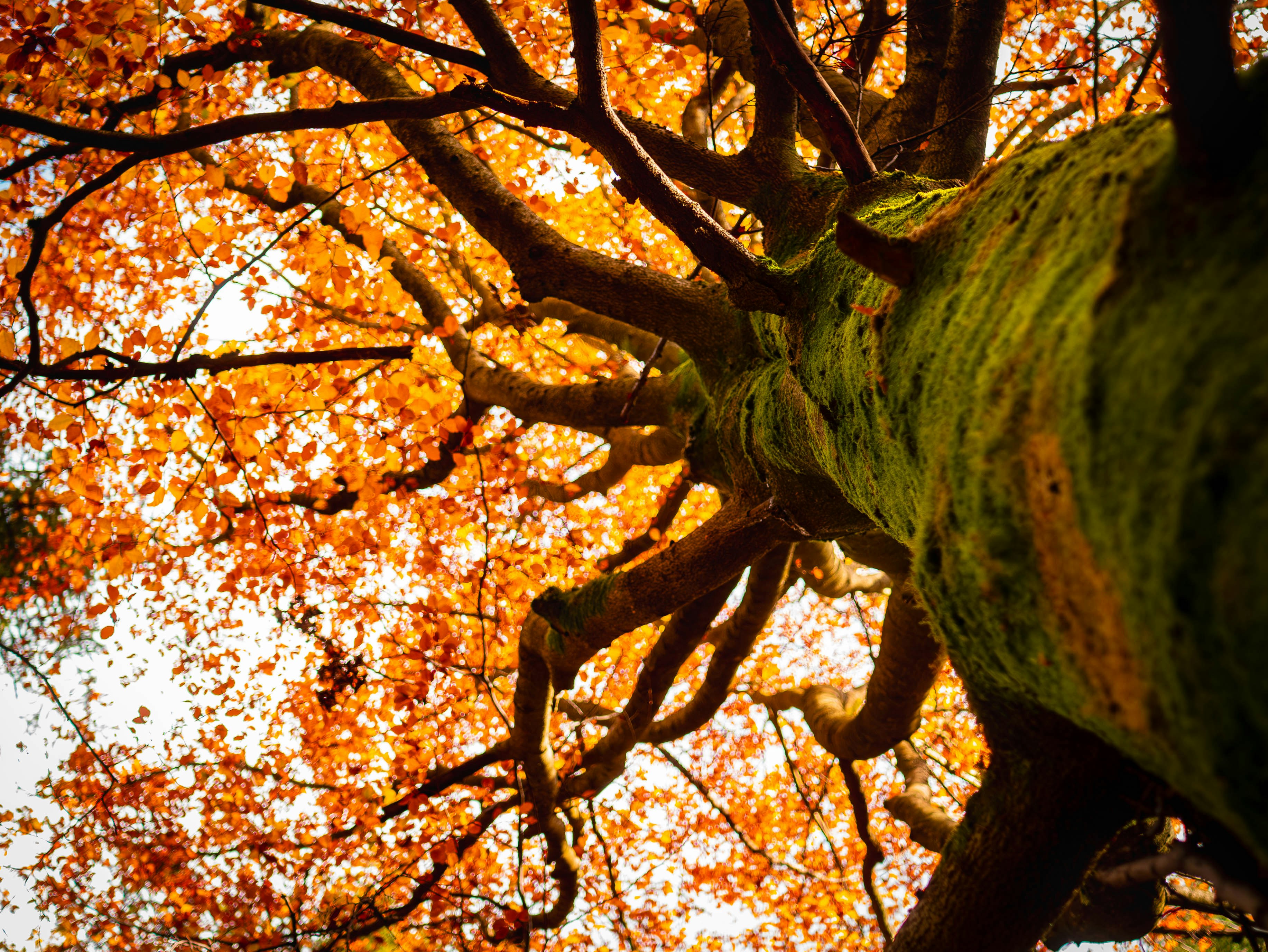 Photo by stepan_puta