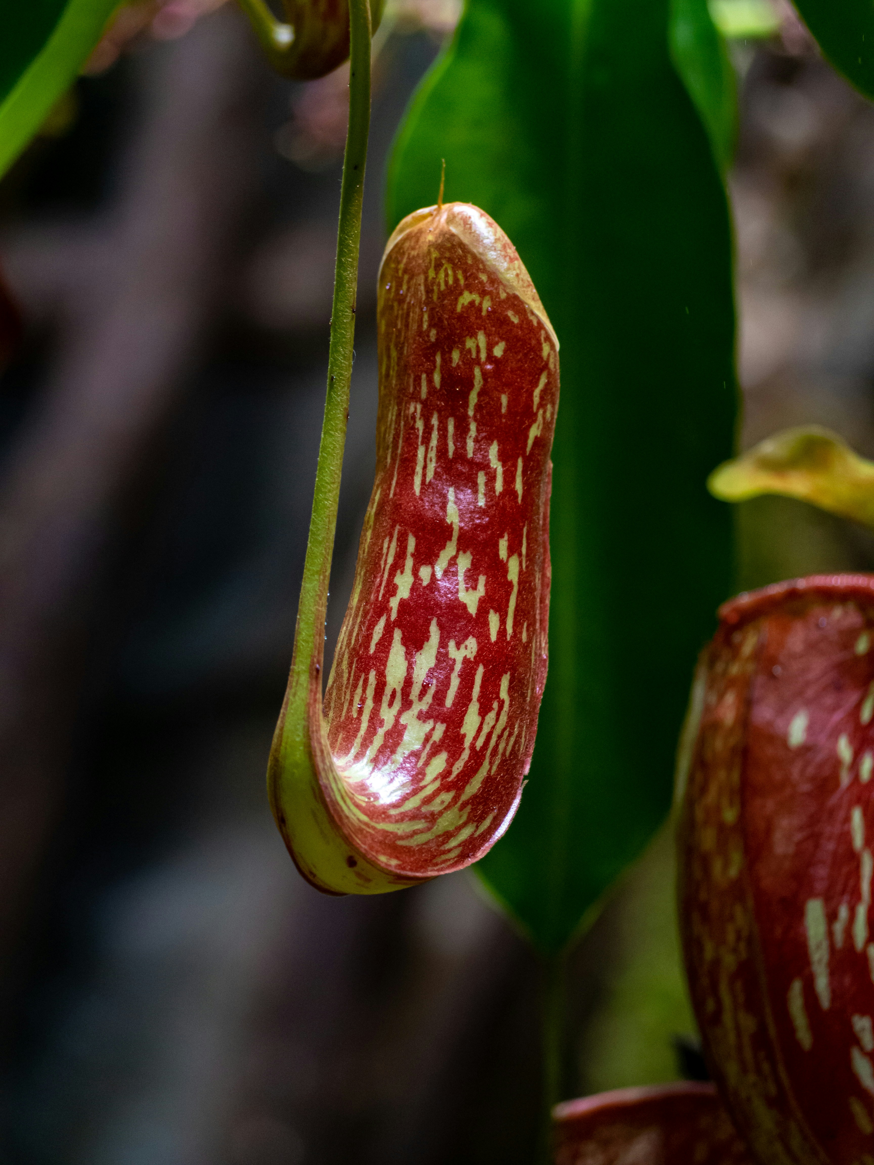 Photo by siriusharrison