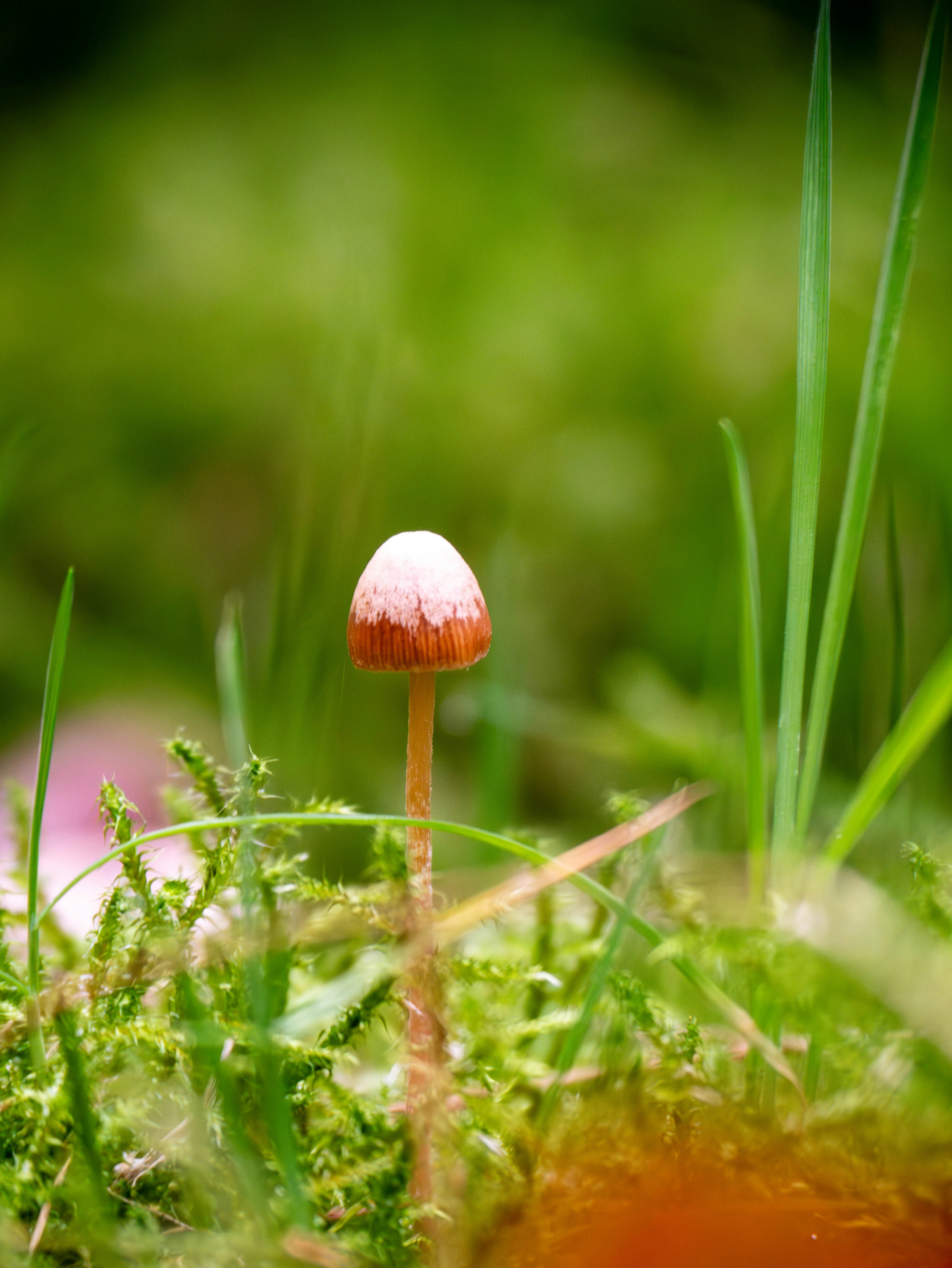 Photo by stepan_puta