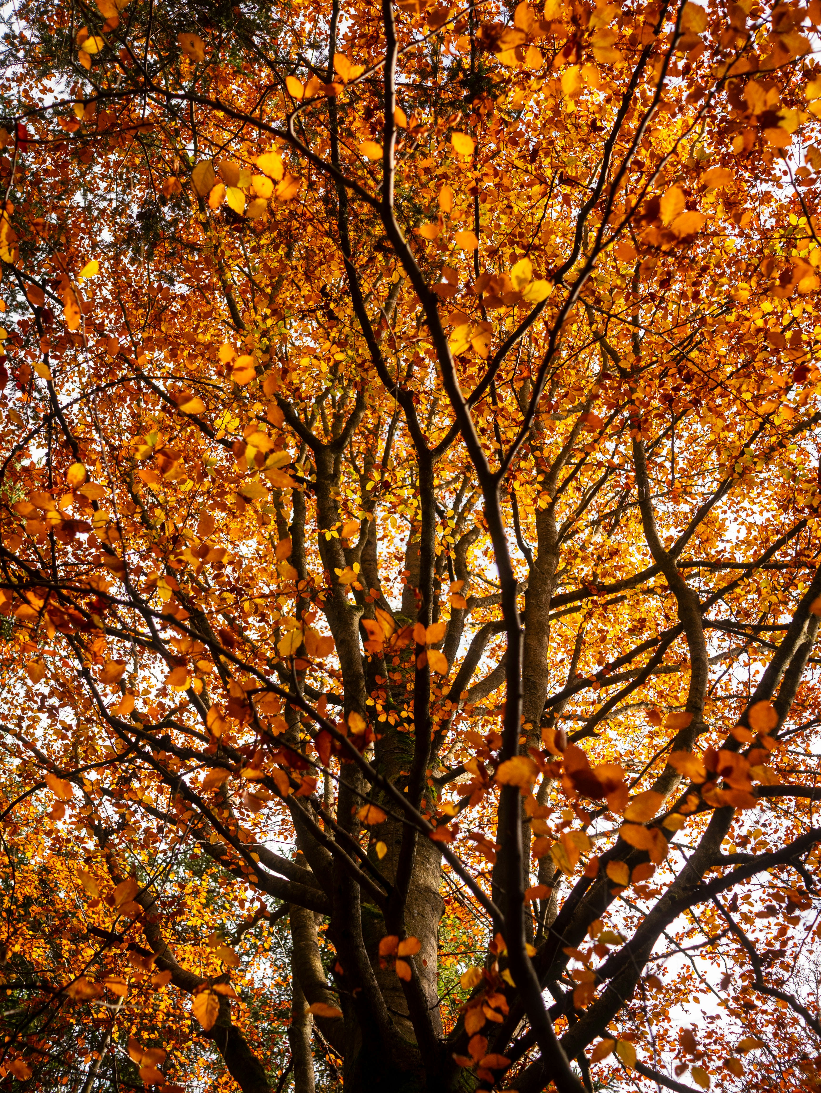 Photo by stepan_puta