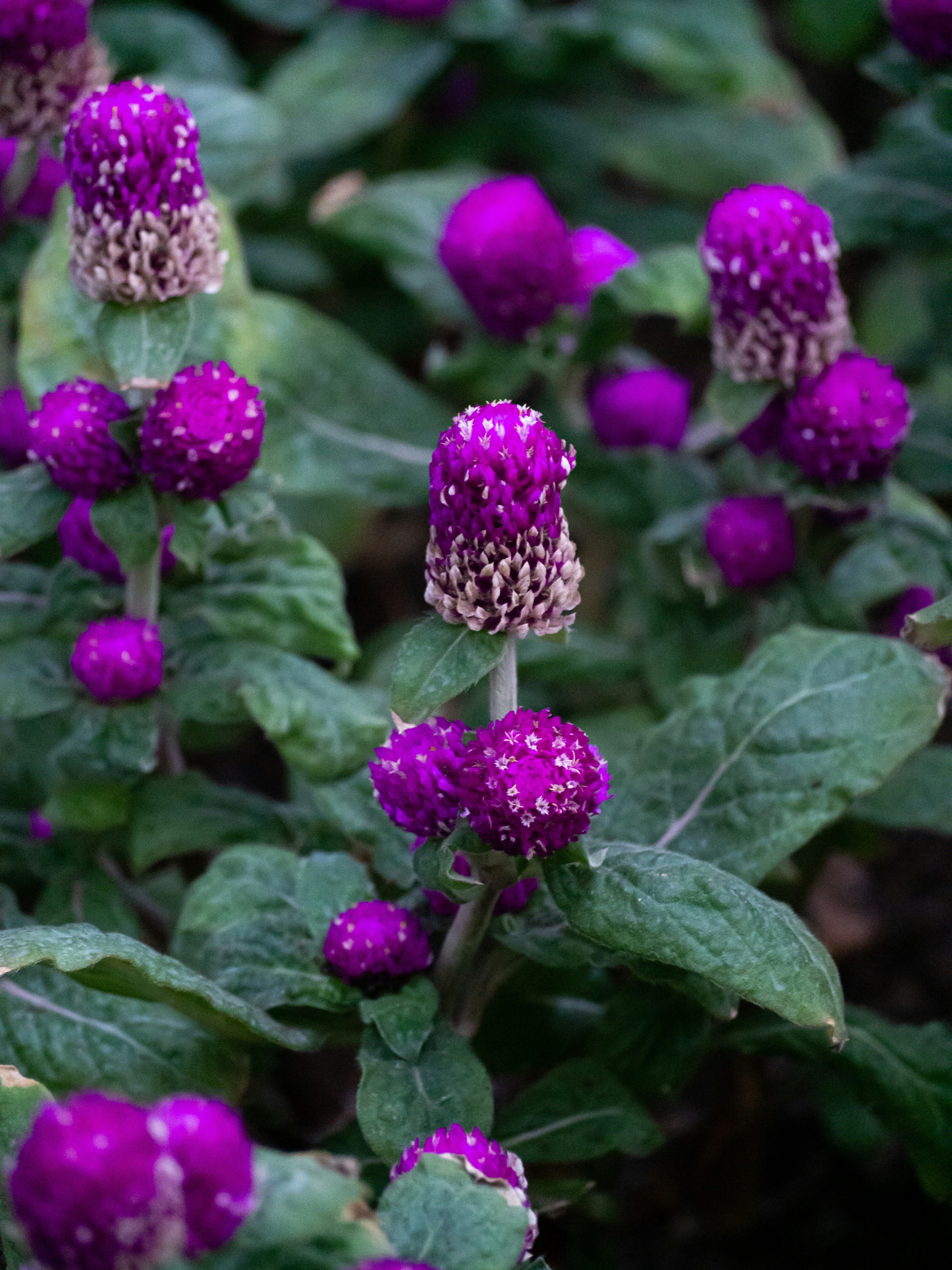 Photo by siriusharrison