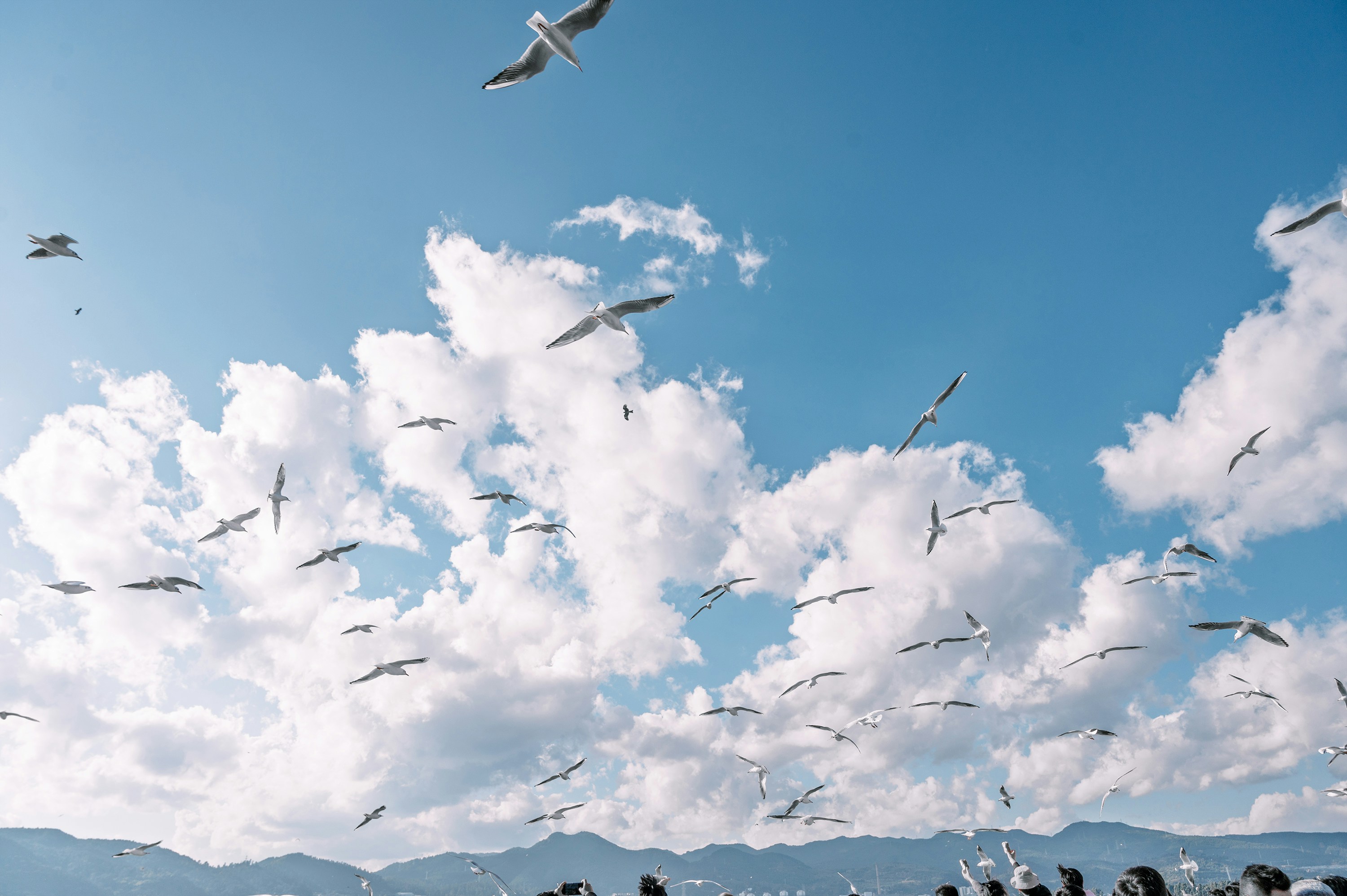 Photo by vincent_tint