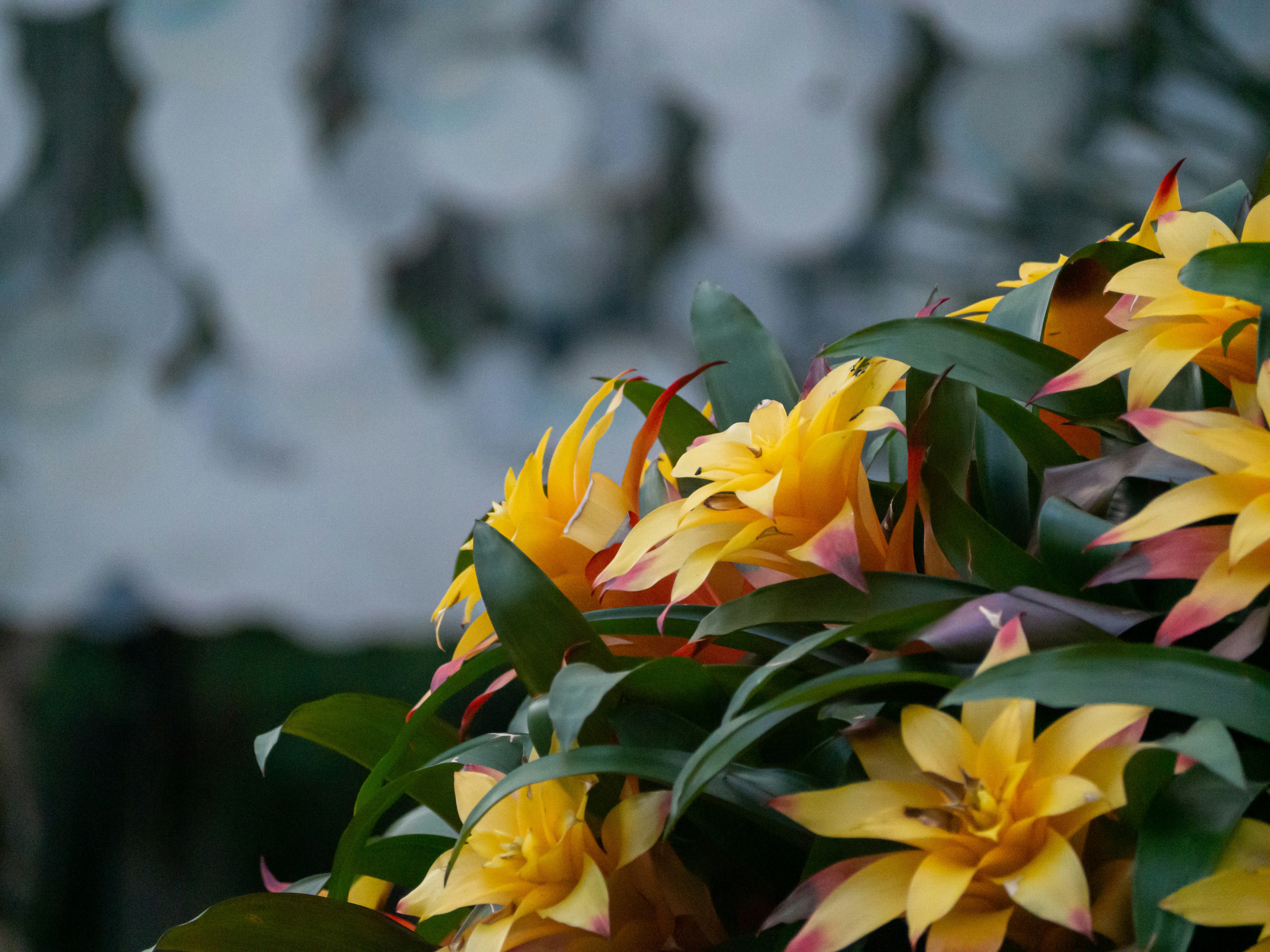 Photo by siriusharrison