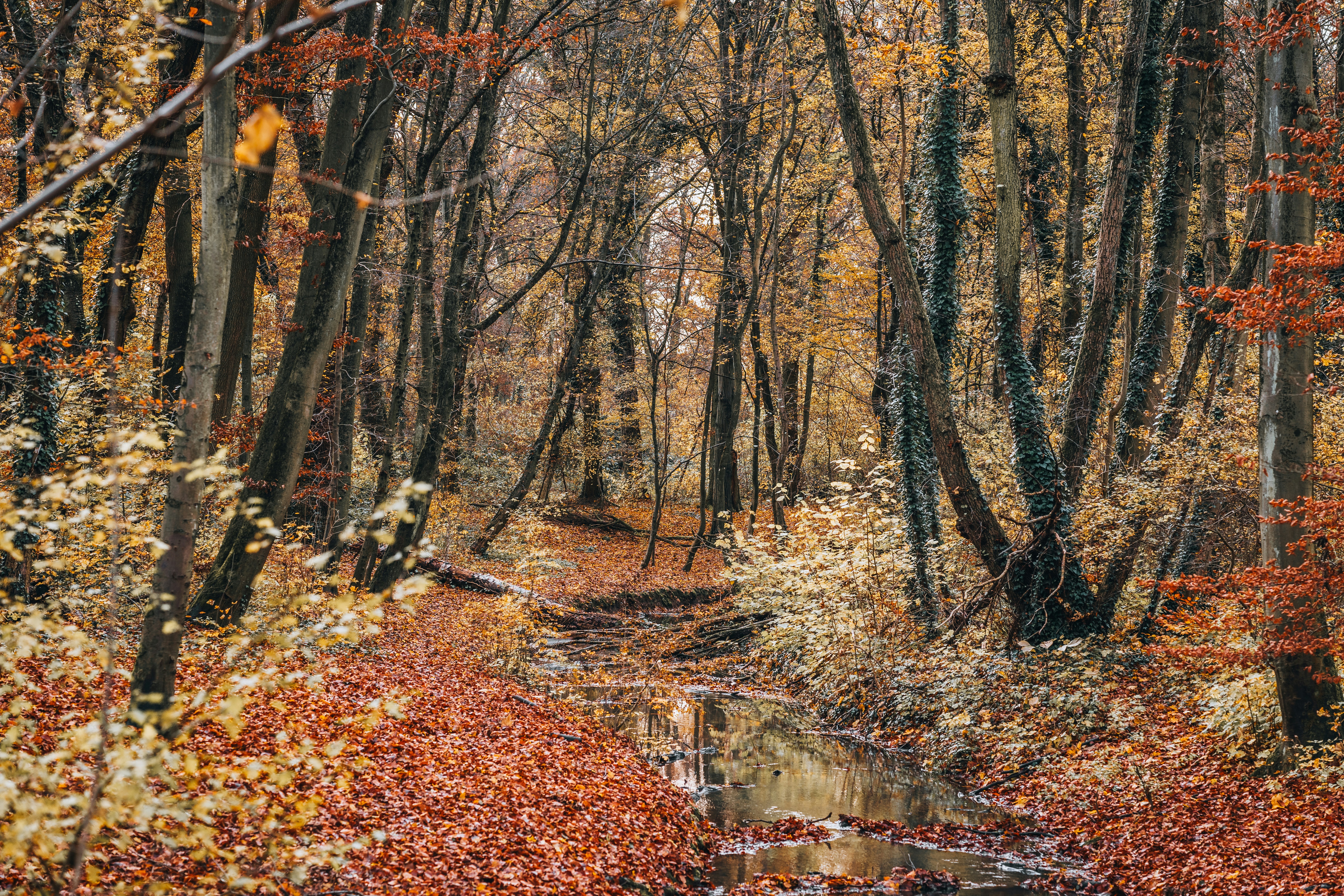 Photo by masoodaslami