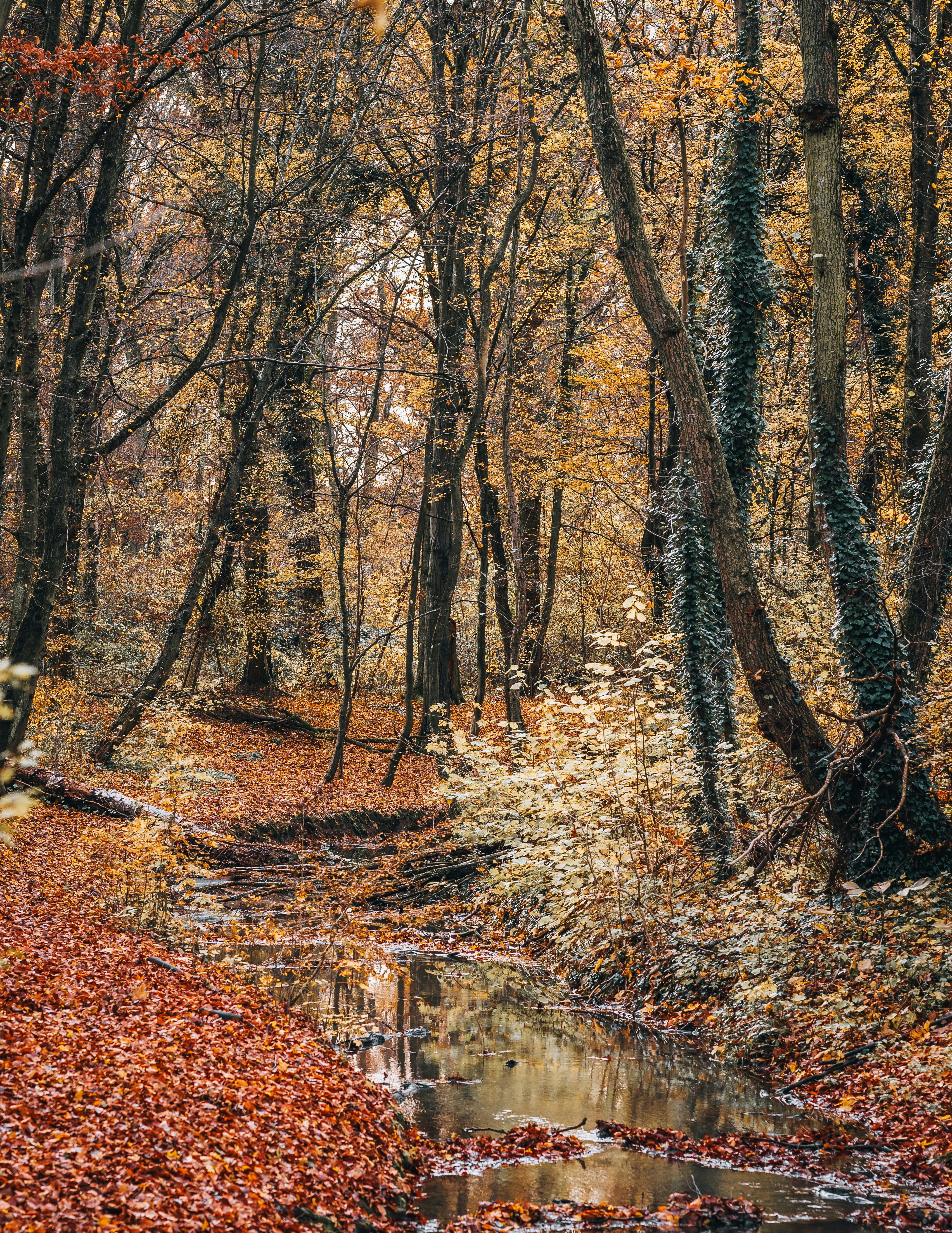 Photo by masoodaslami