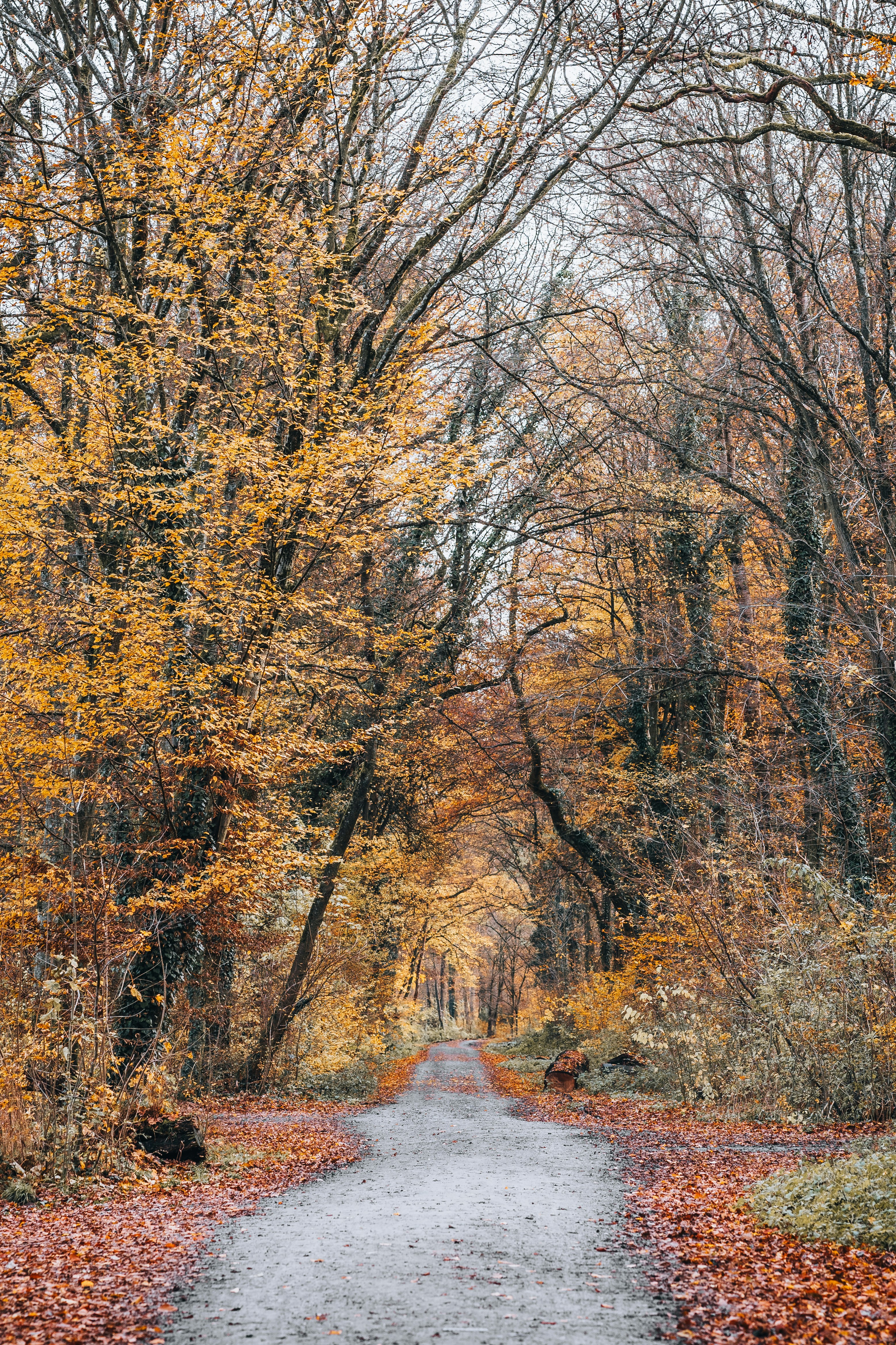 Photo by masoodaslami