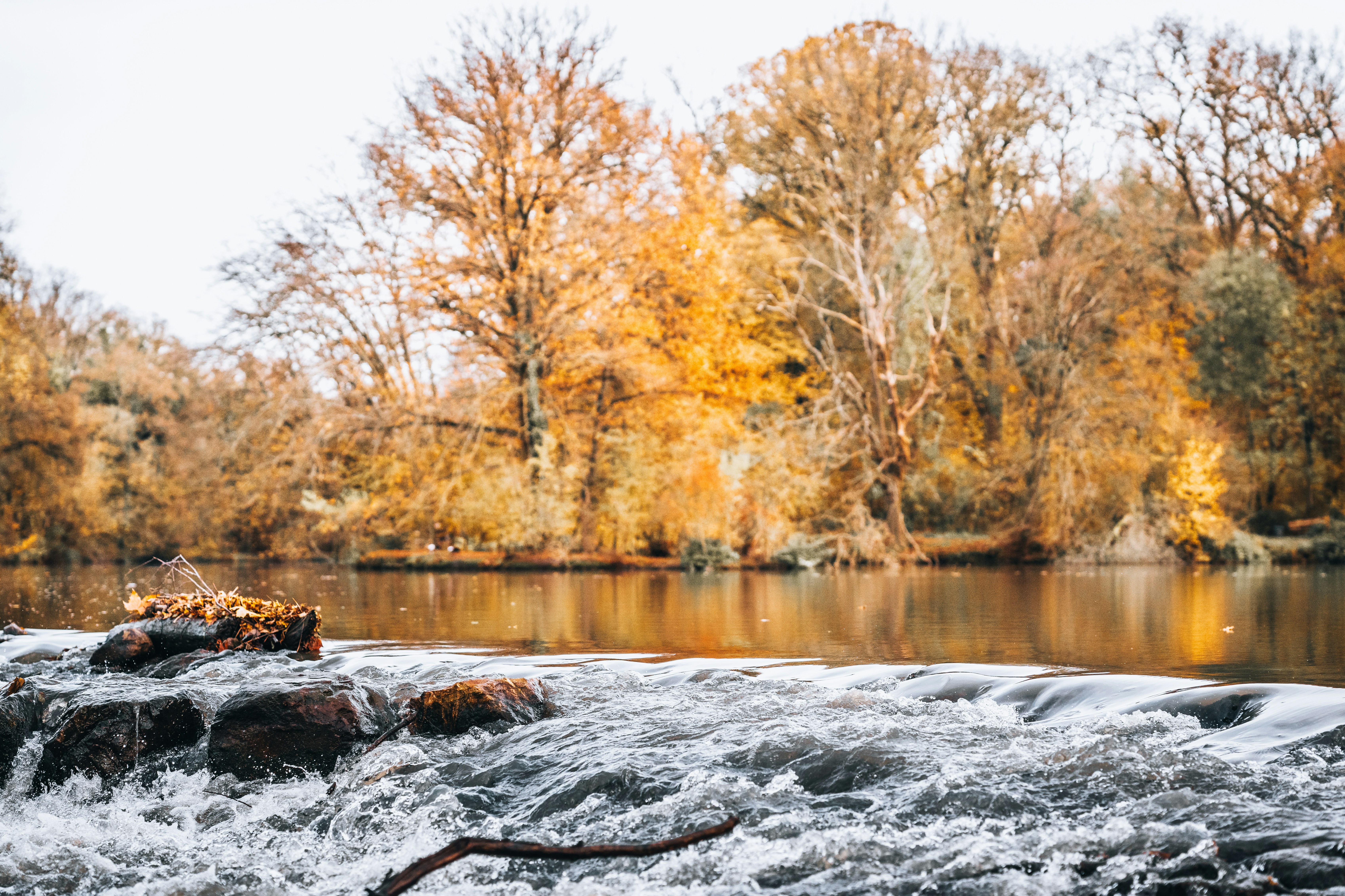 Photo by masoodaslami