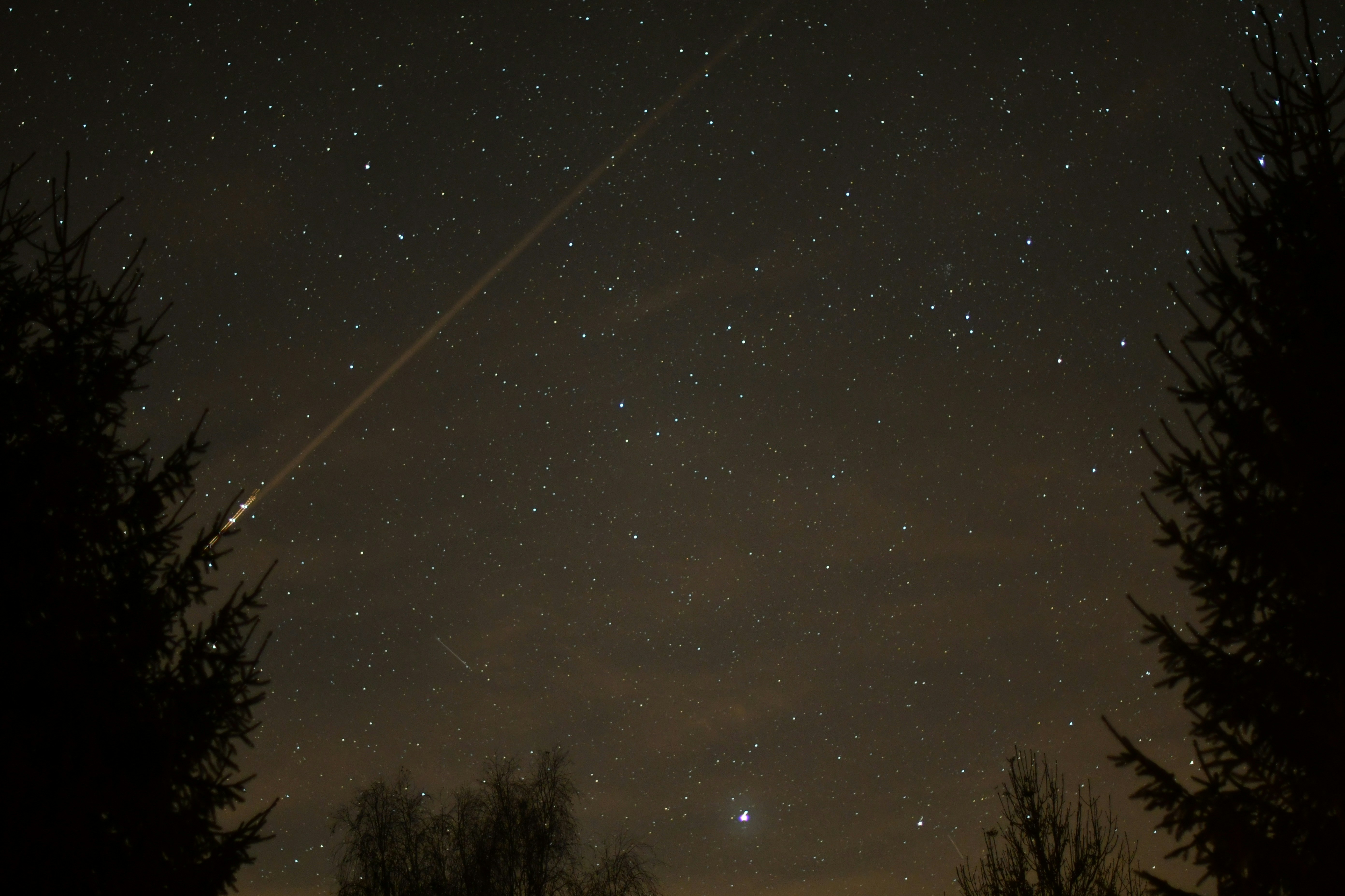 A night sky with stars and trees in the foreground