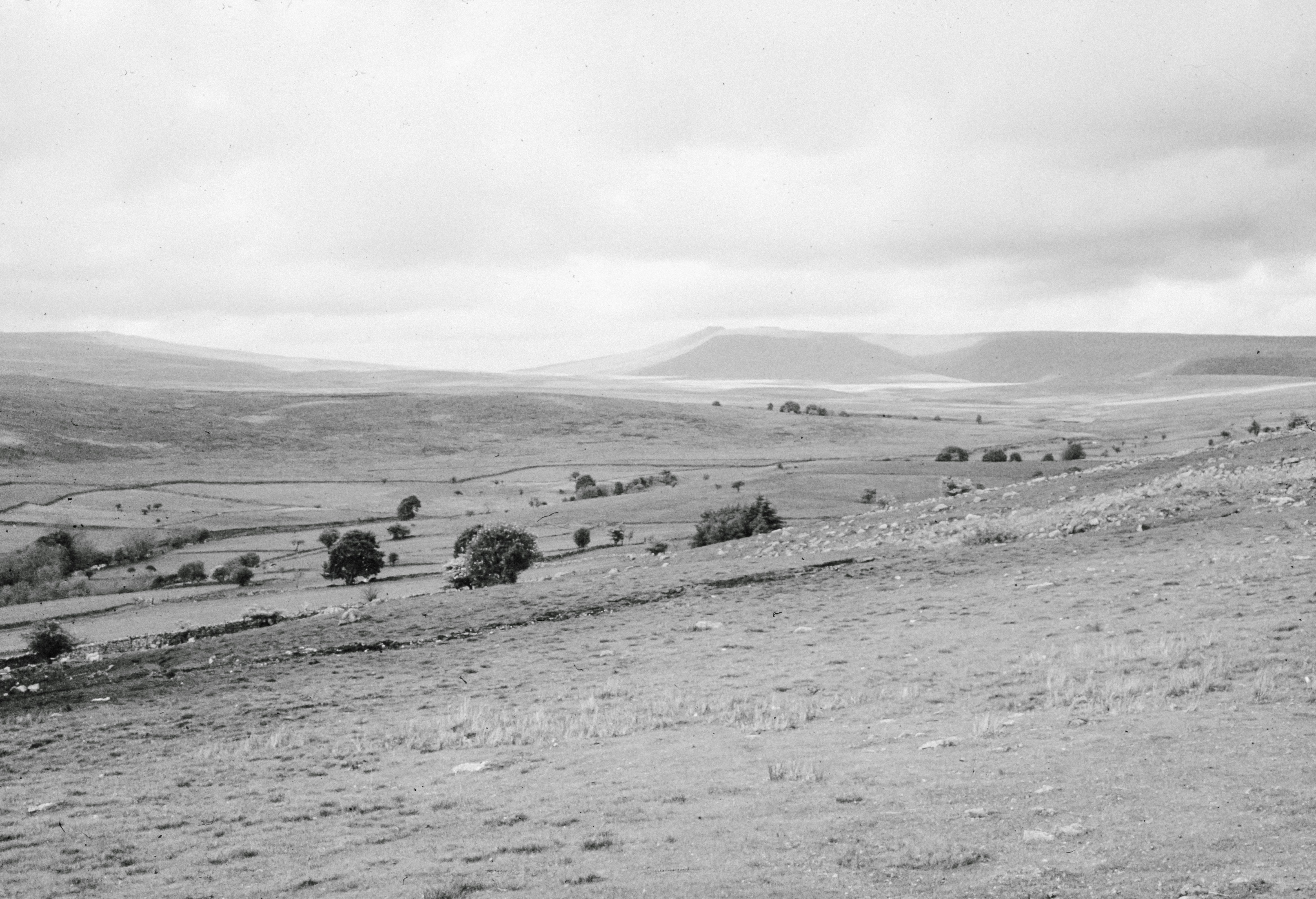 Photo by anniespratt