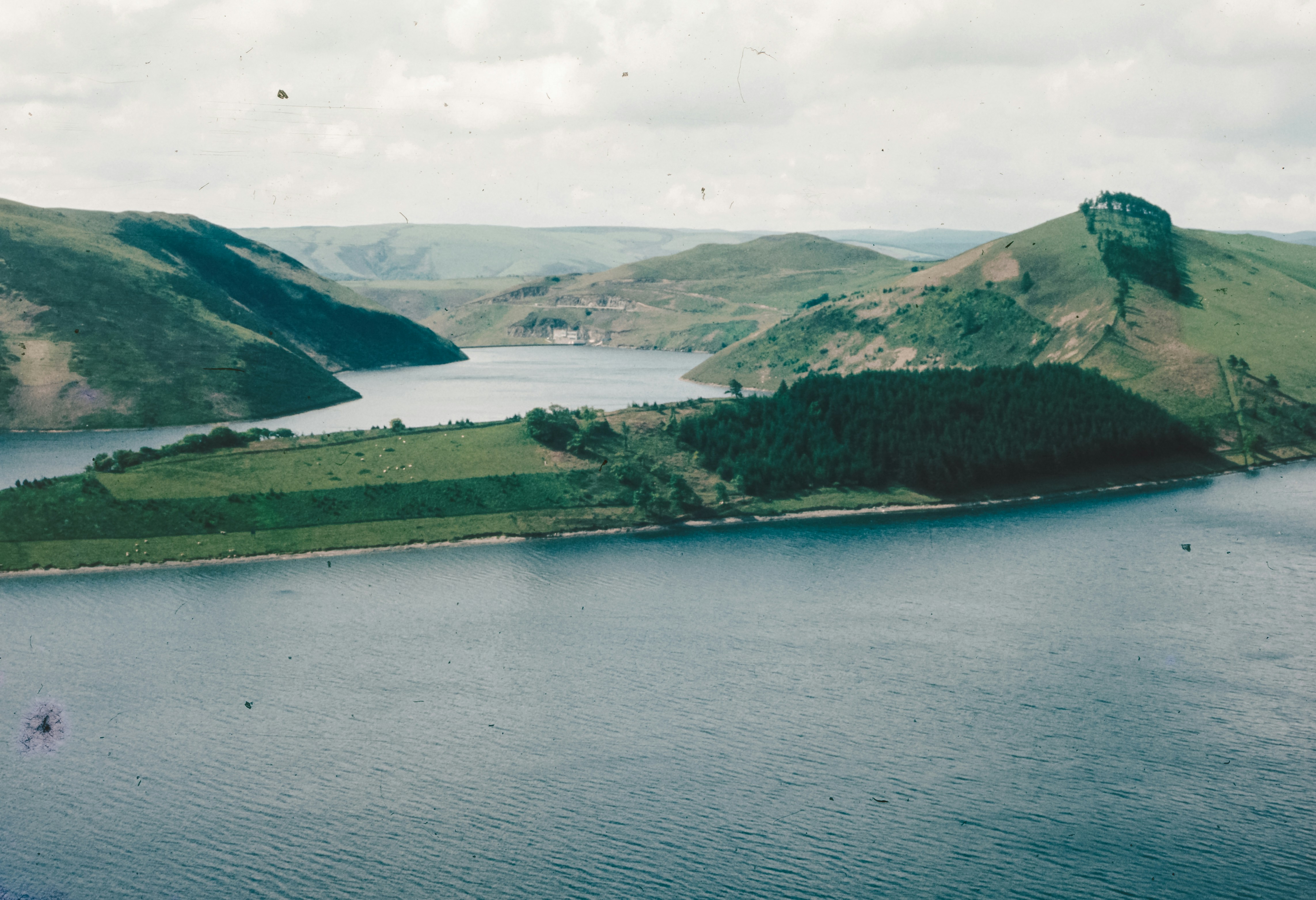 Photo by anniespratt