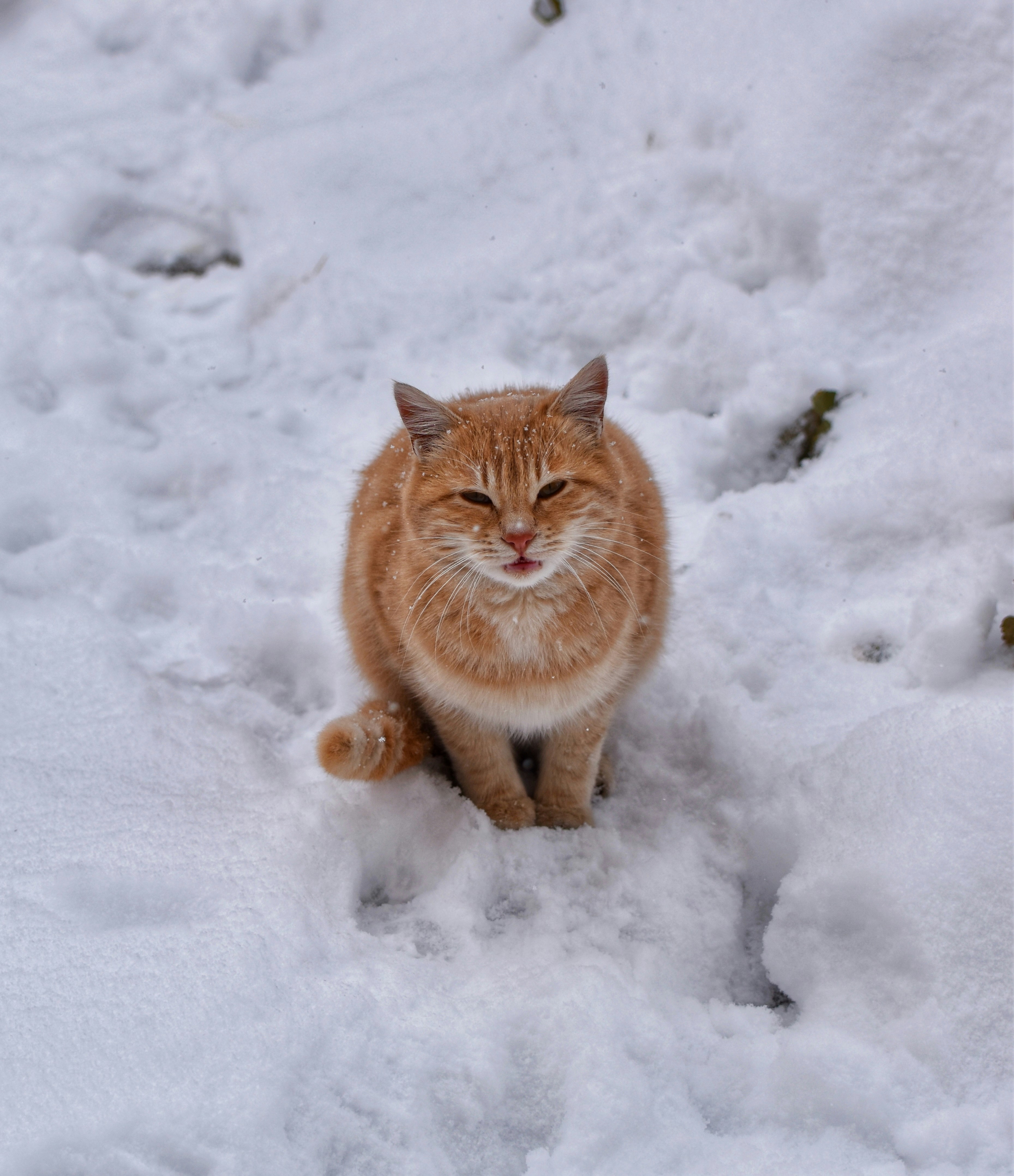 Photo by mustafakonuk