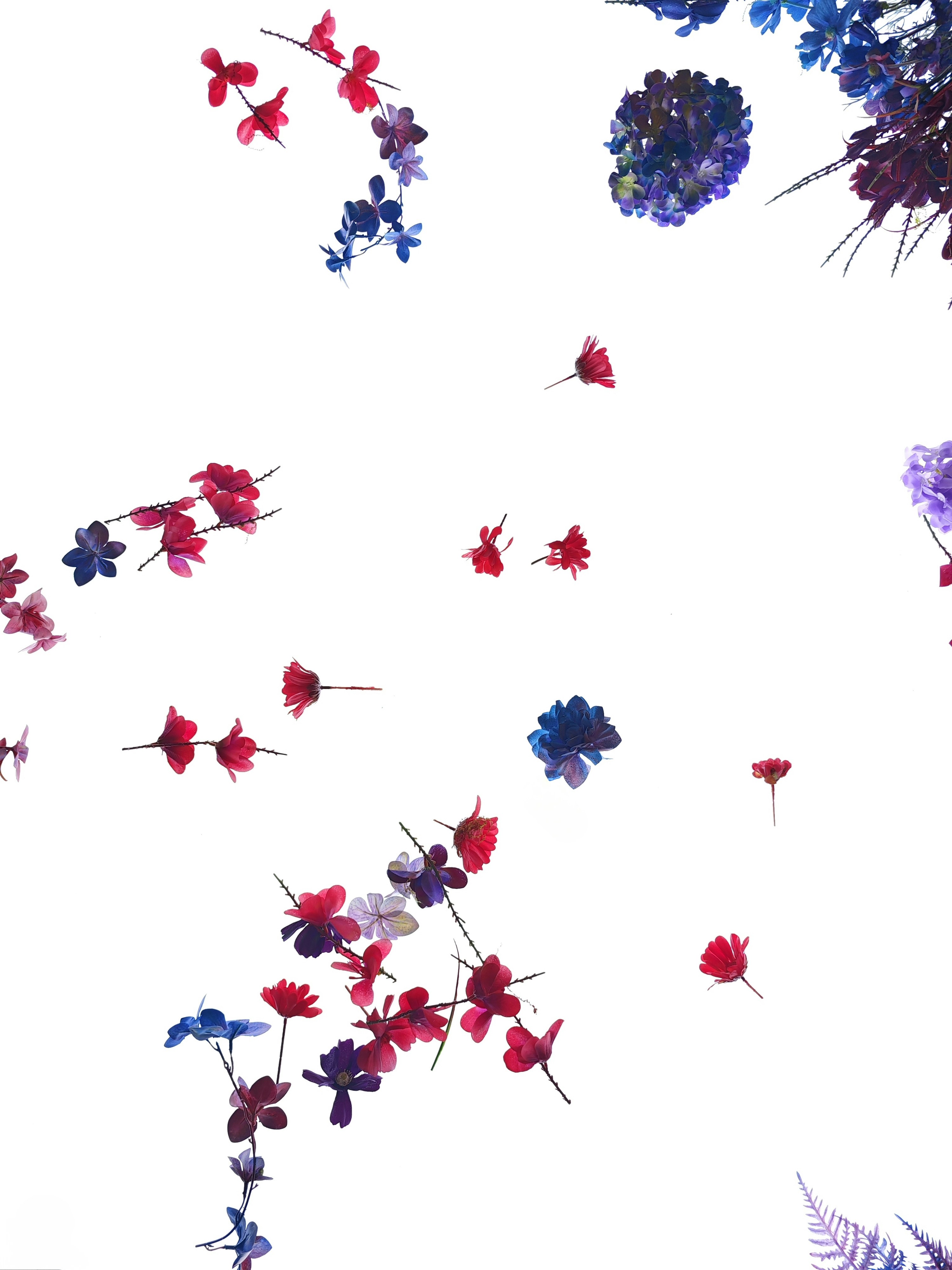 空中を舞う花の束