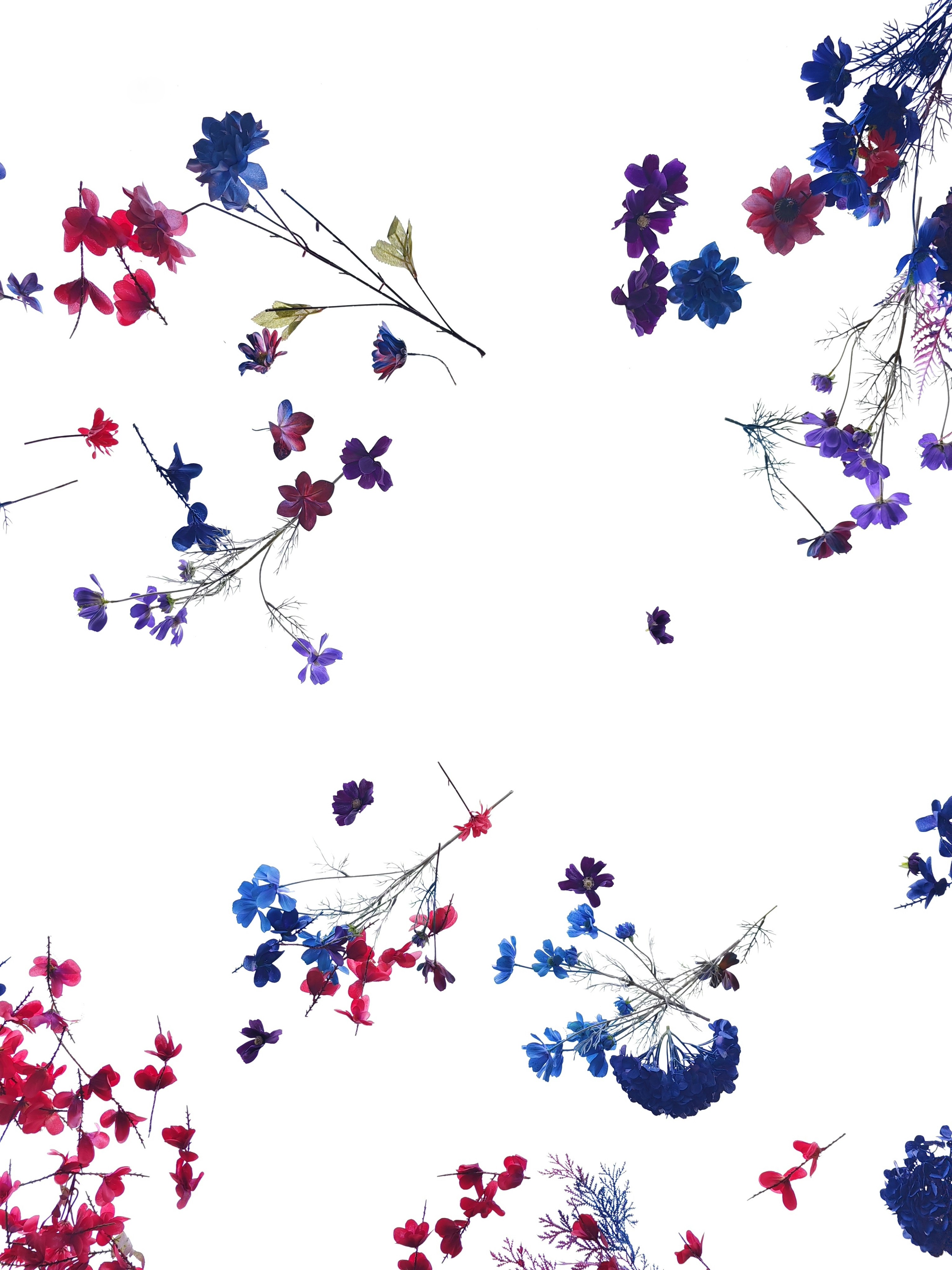 Abstract Floral Painting