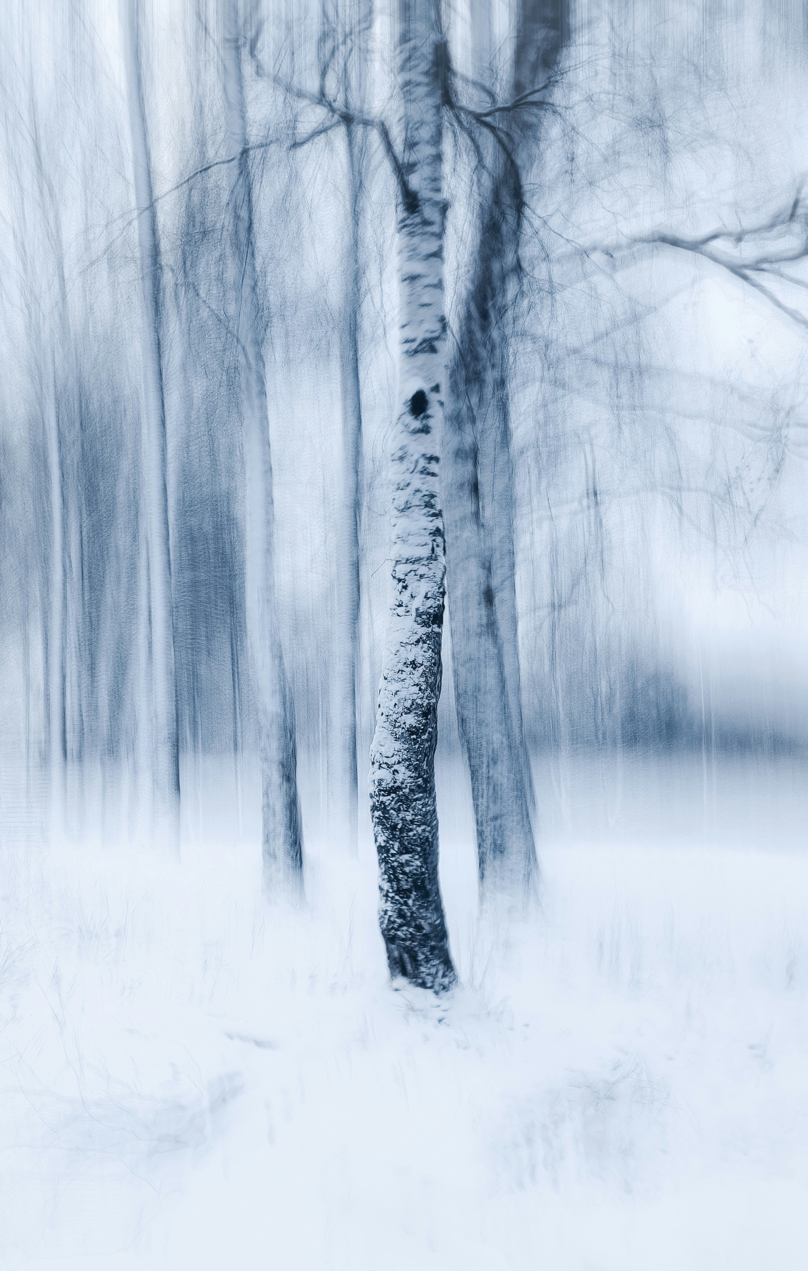 Photo by eugene_golovesov