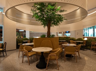 A large room with tables and chairs and a tree