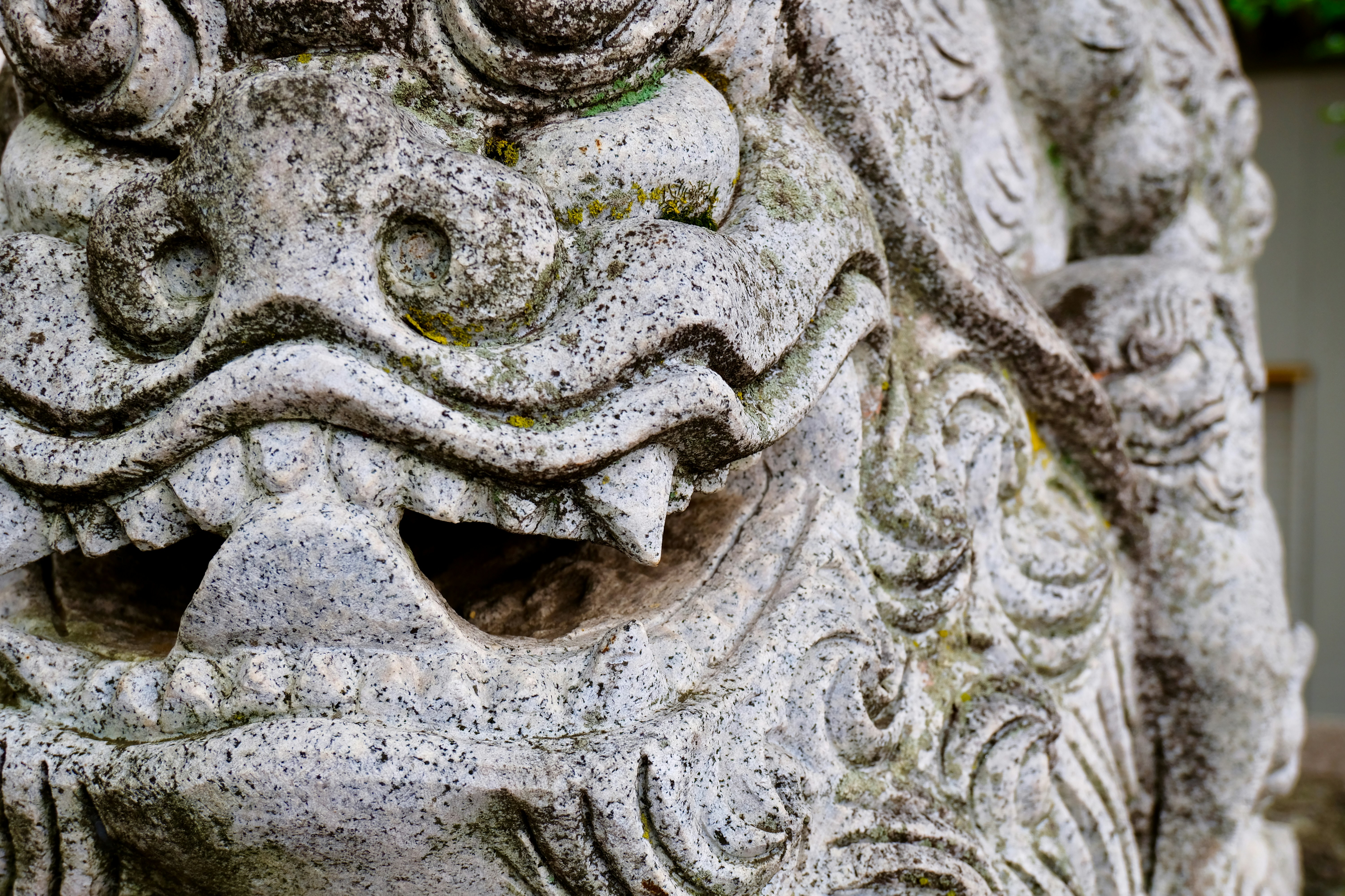 Photo by jonasgerlach