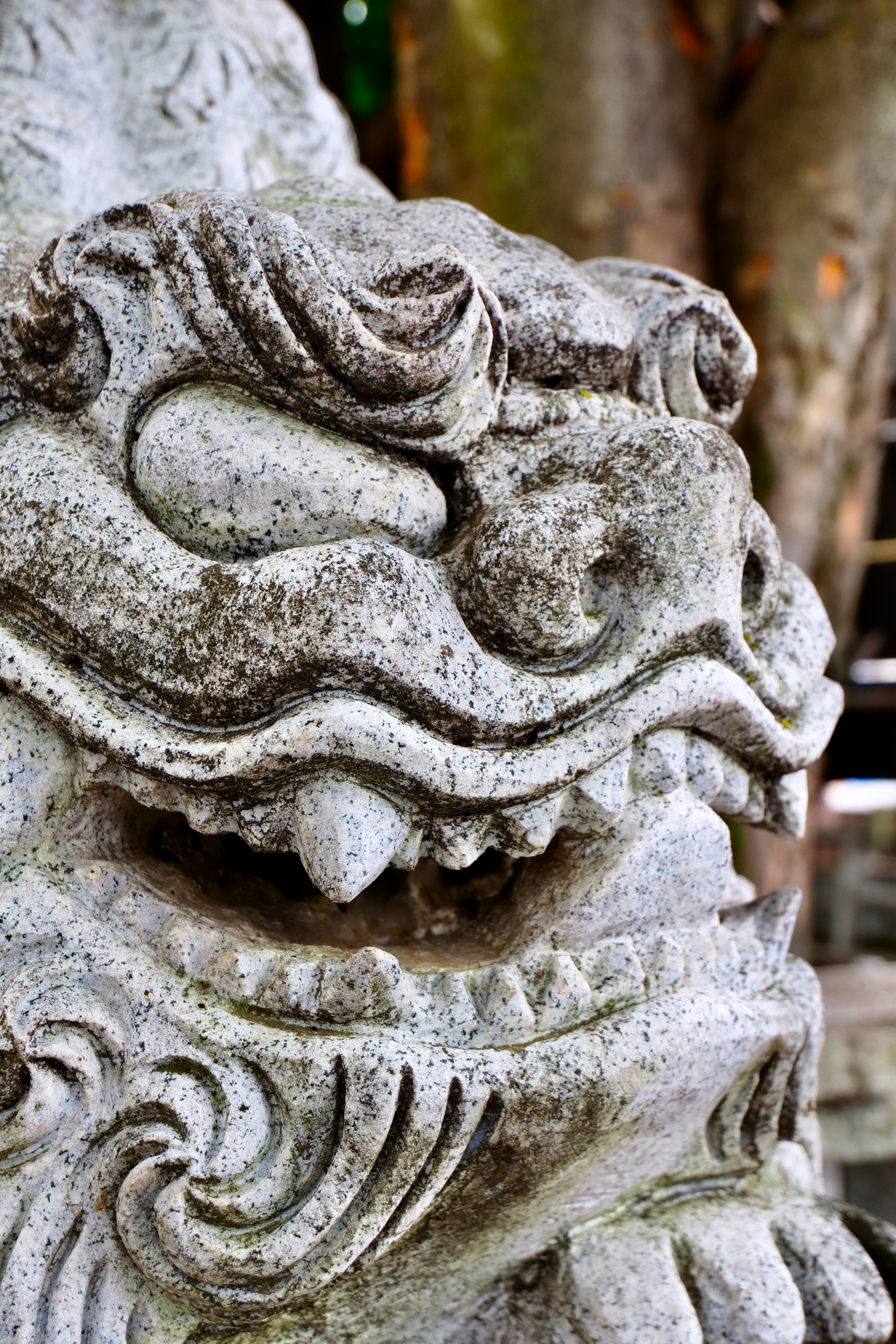 Photo by jonasgerlach