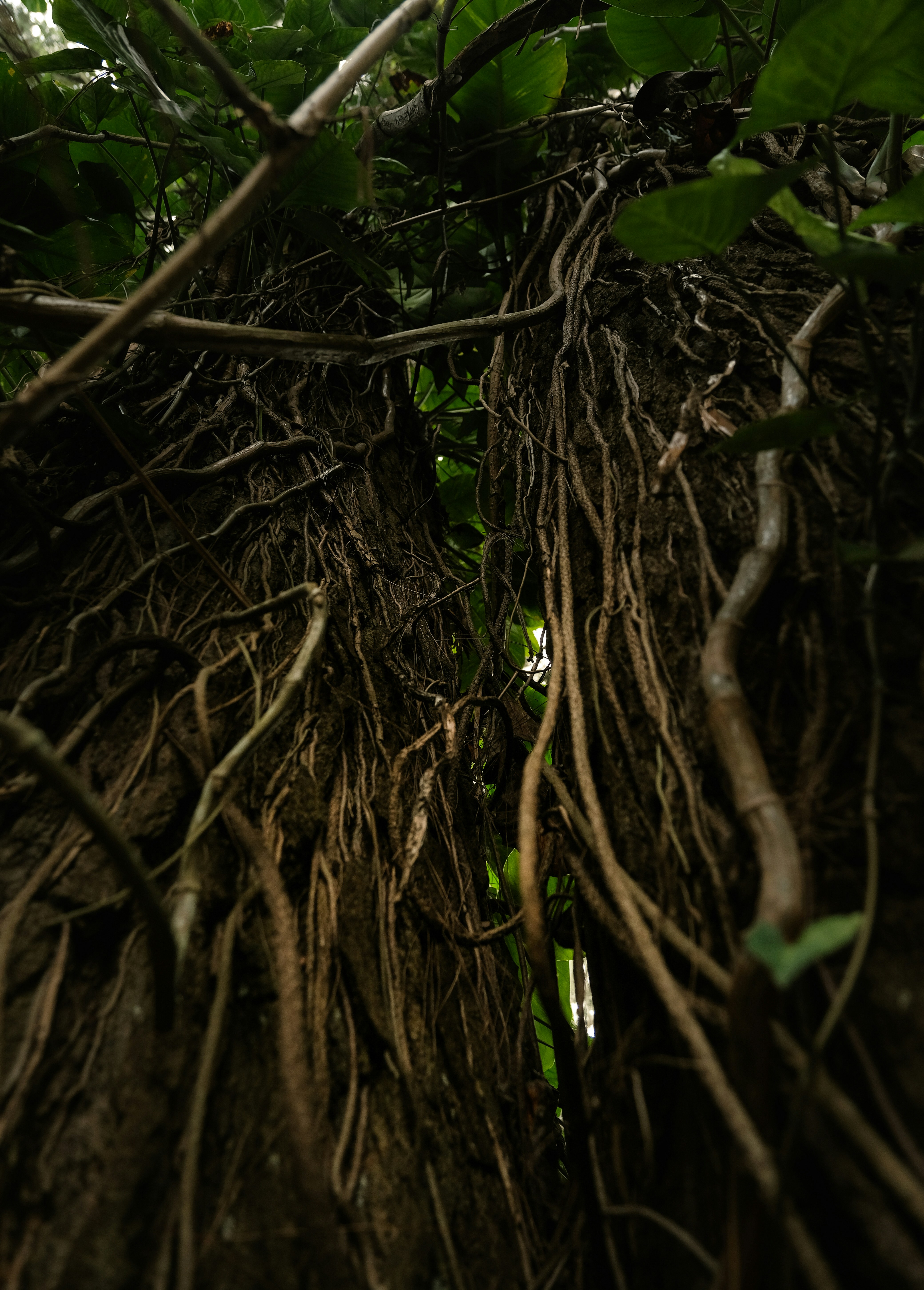 Photo by yusuprachman