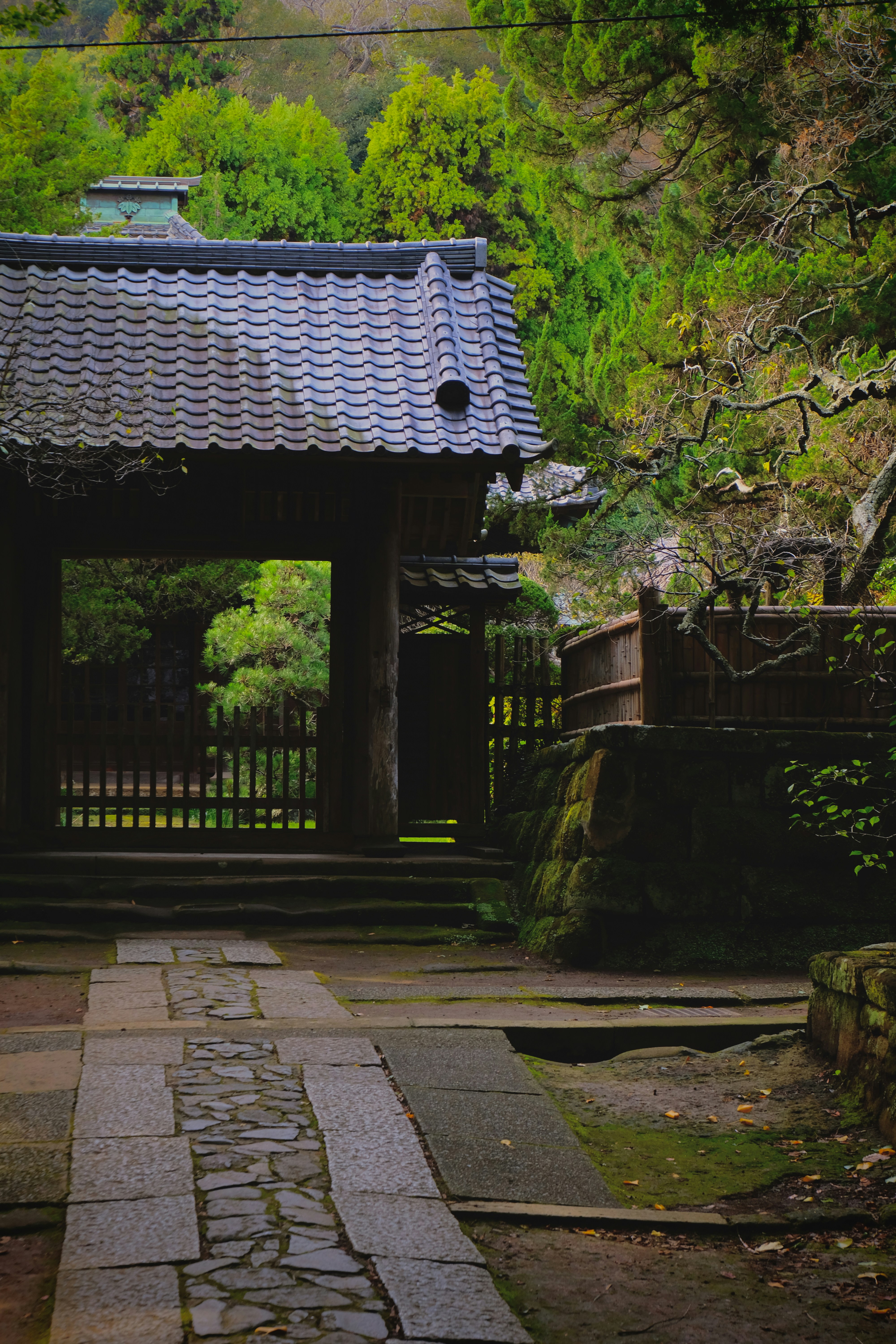 Photo by jonasgerlach