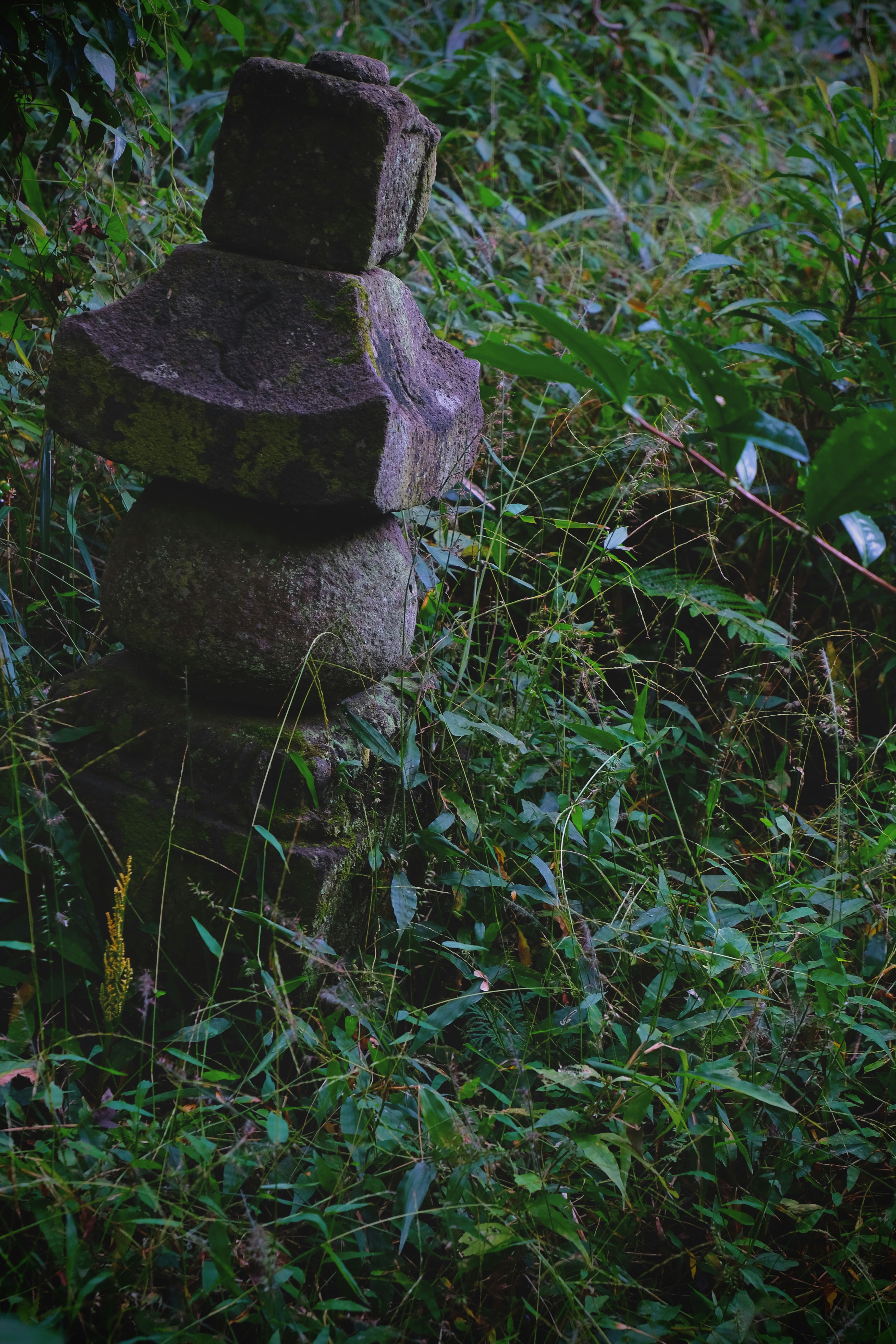 Photo by jonasgerlach