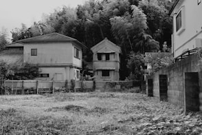 A black and white photo of a house in a field