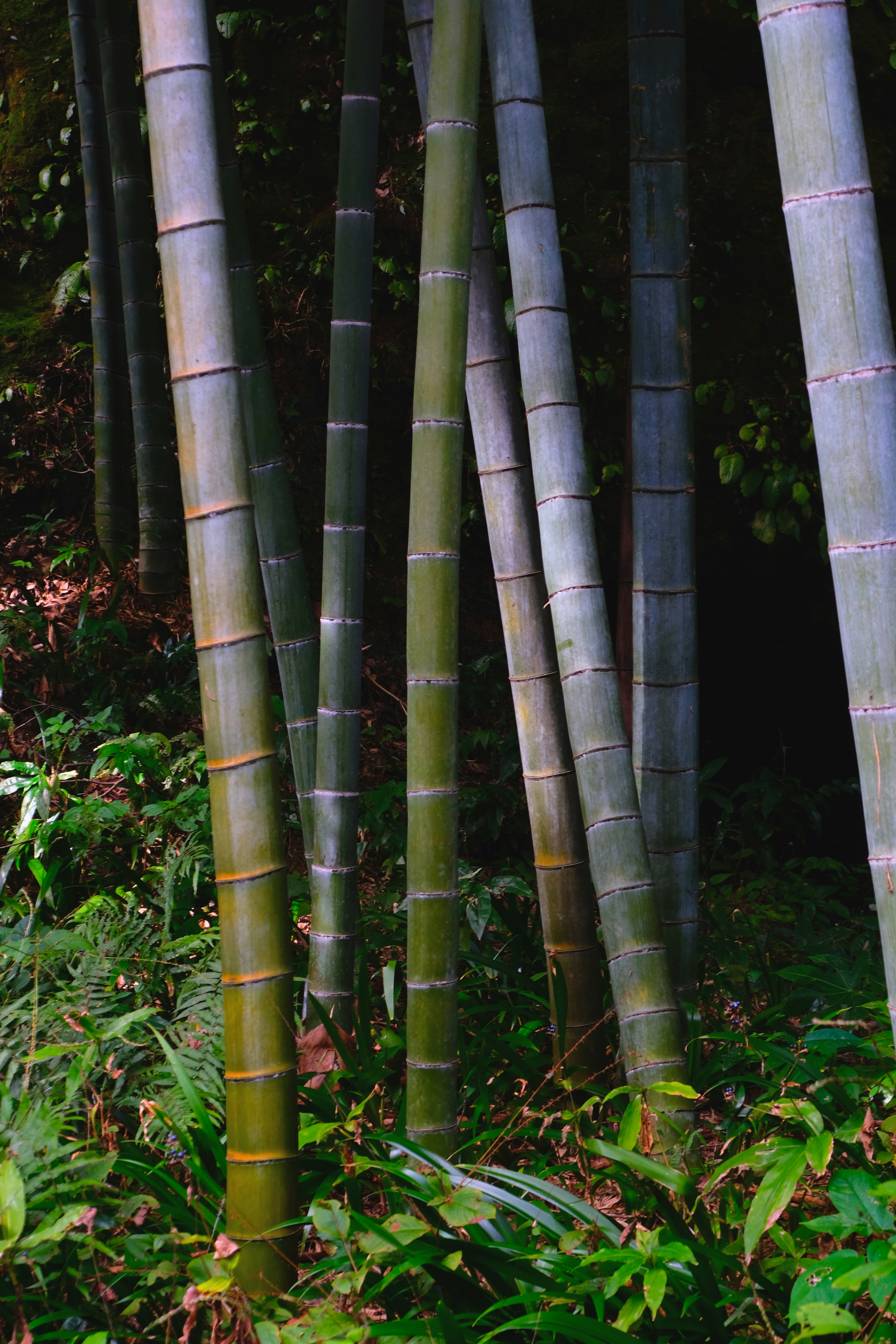 Photo by jonasgerlach