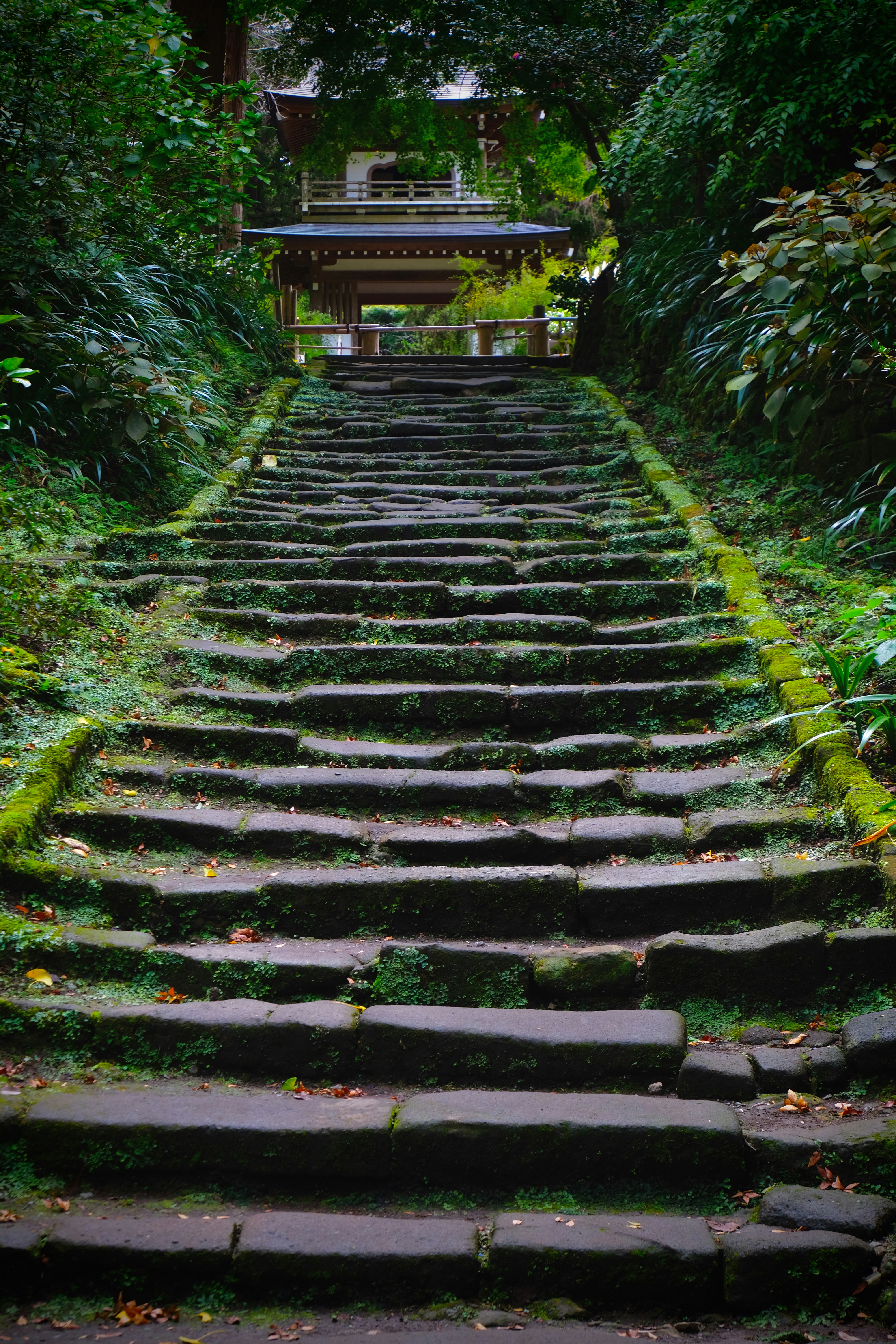 Photo by jonasgerlach