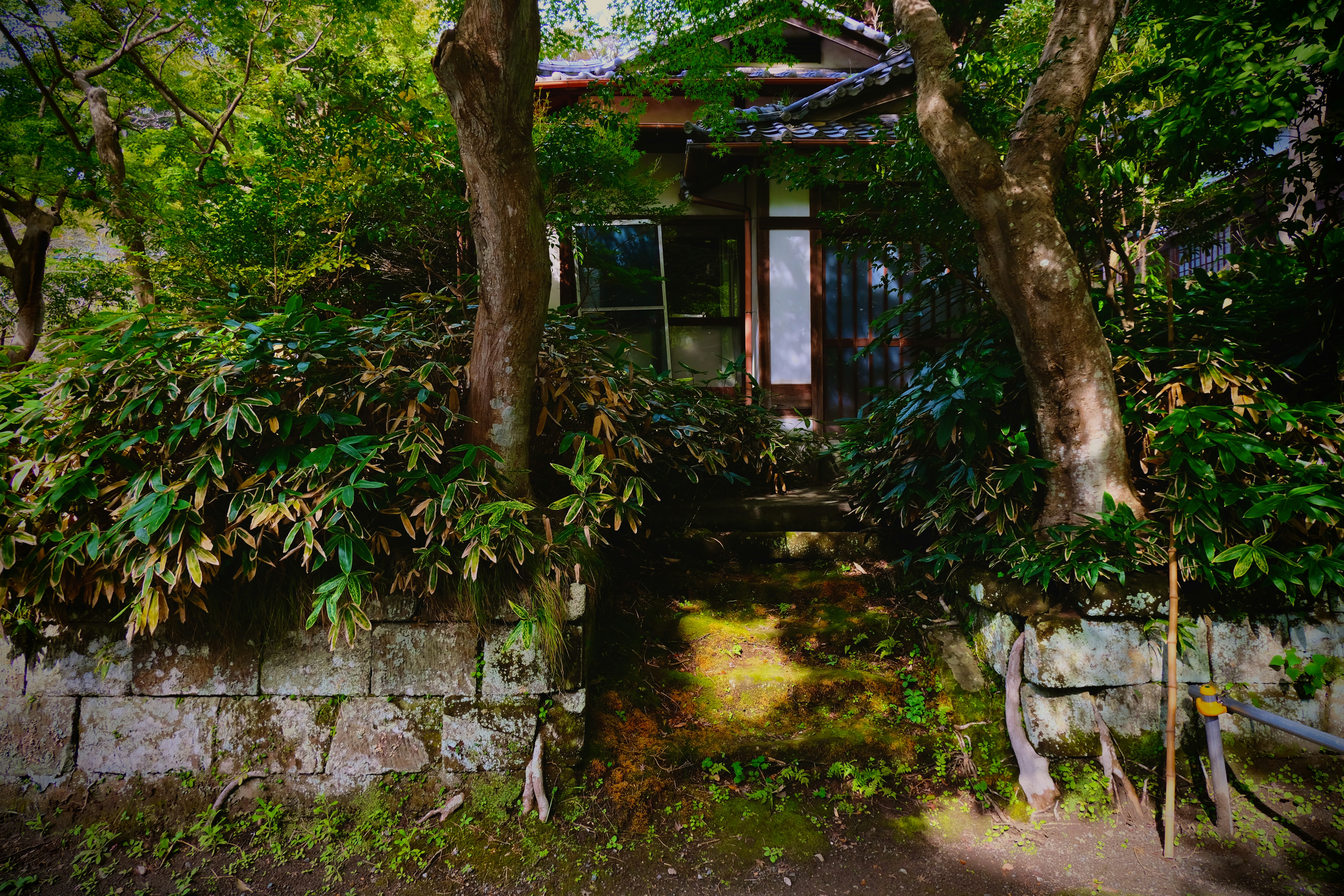 Photo by jonasgerlach